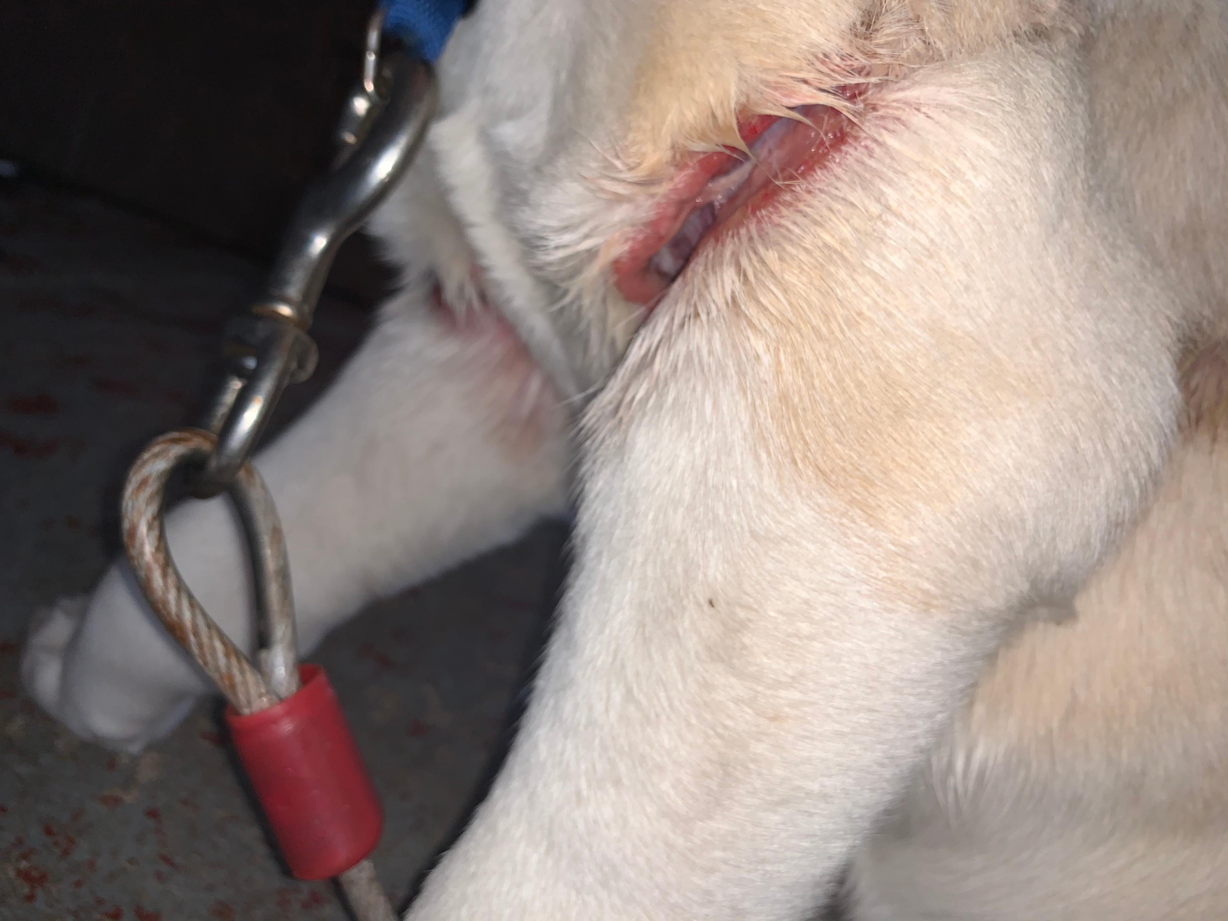 Question details sensitive content