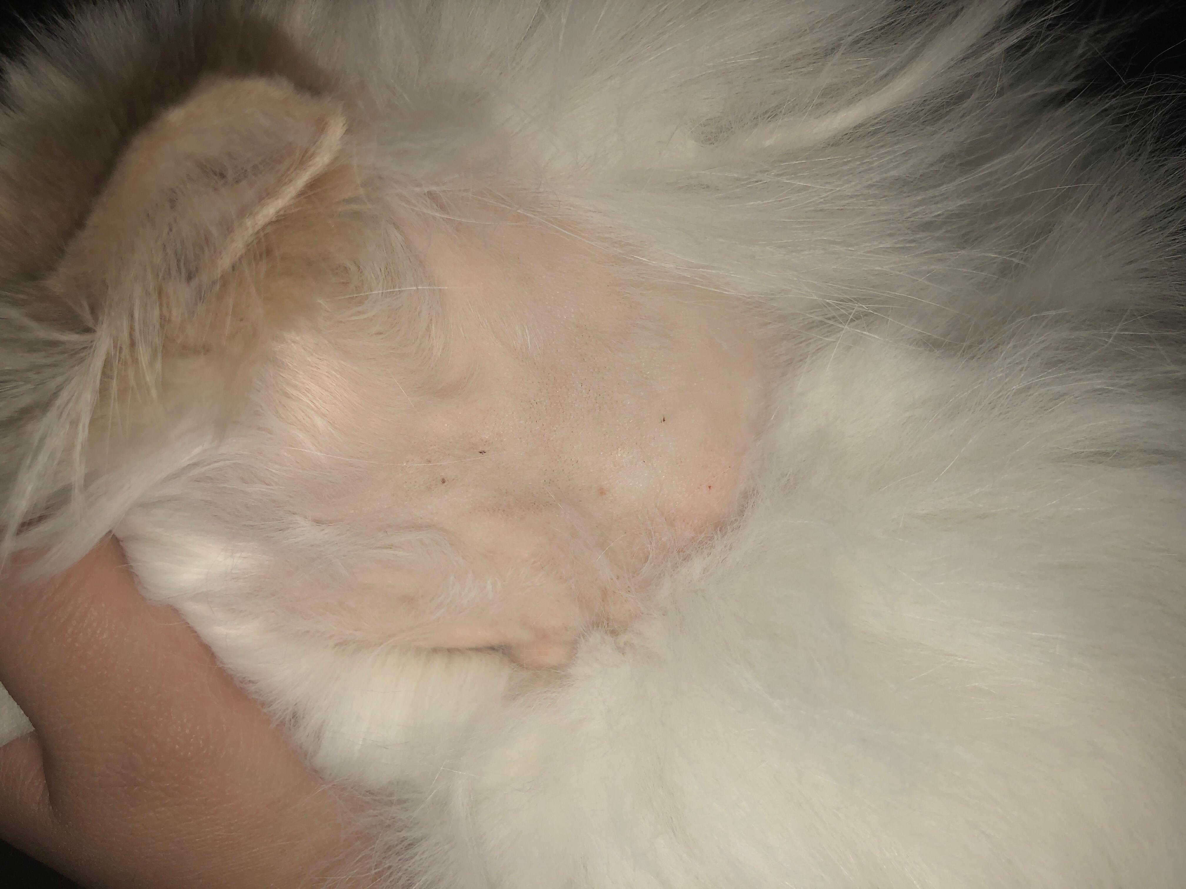 Question details sensitive content