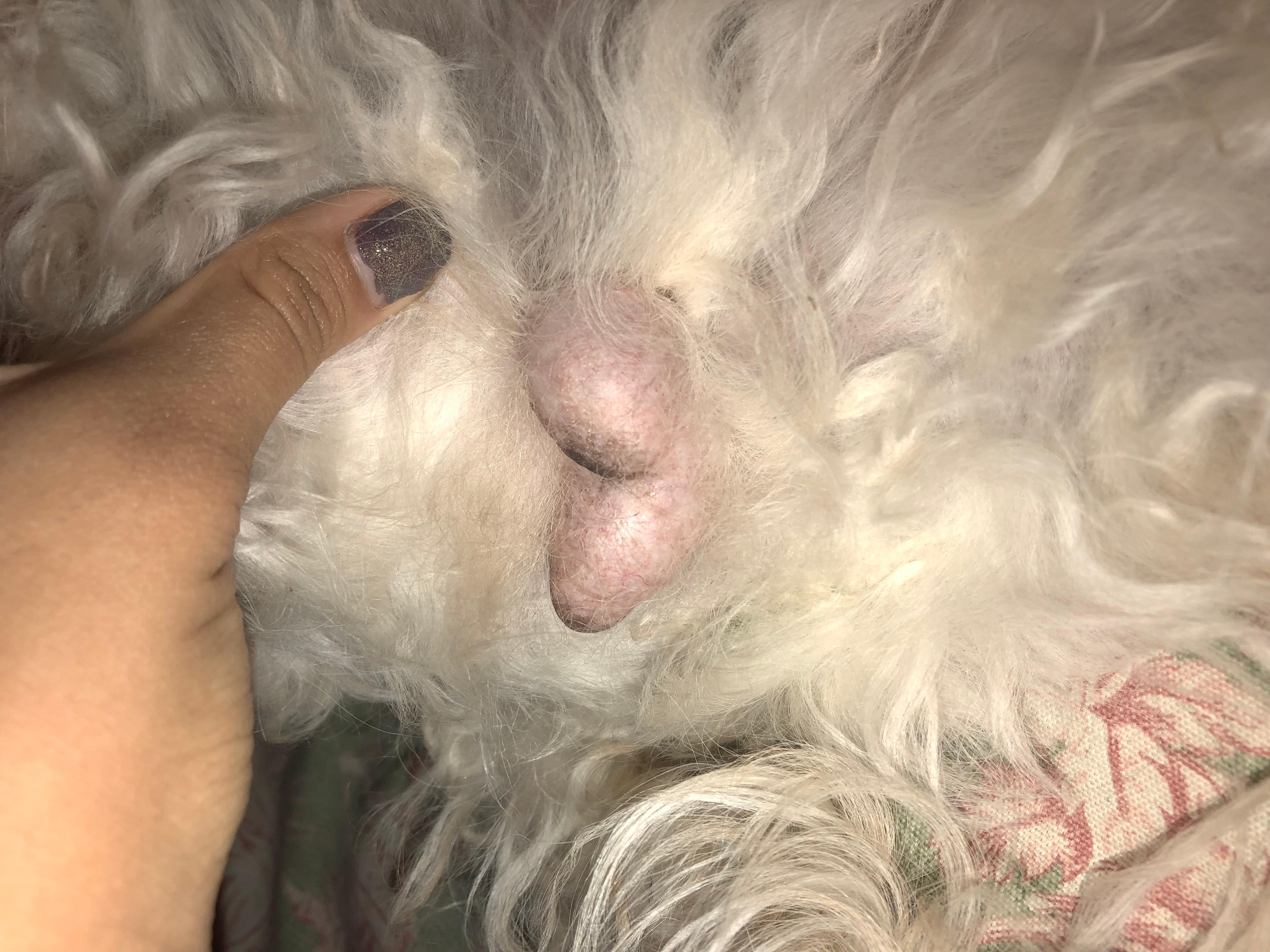 Question details sensitive content