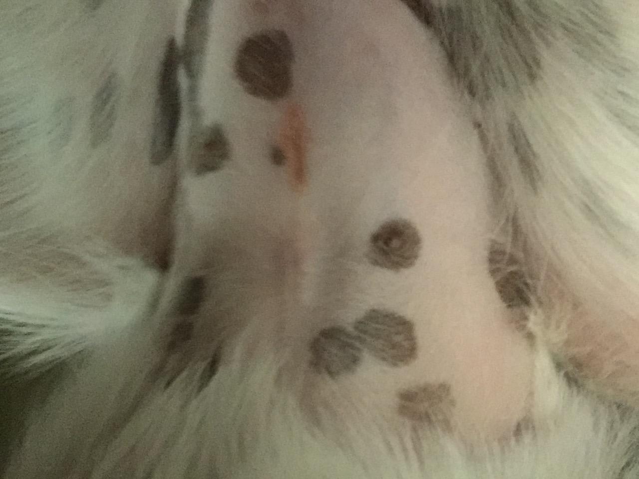 Question details sensitive content