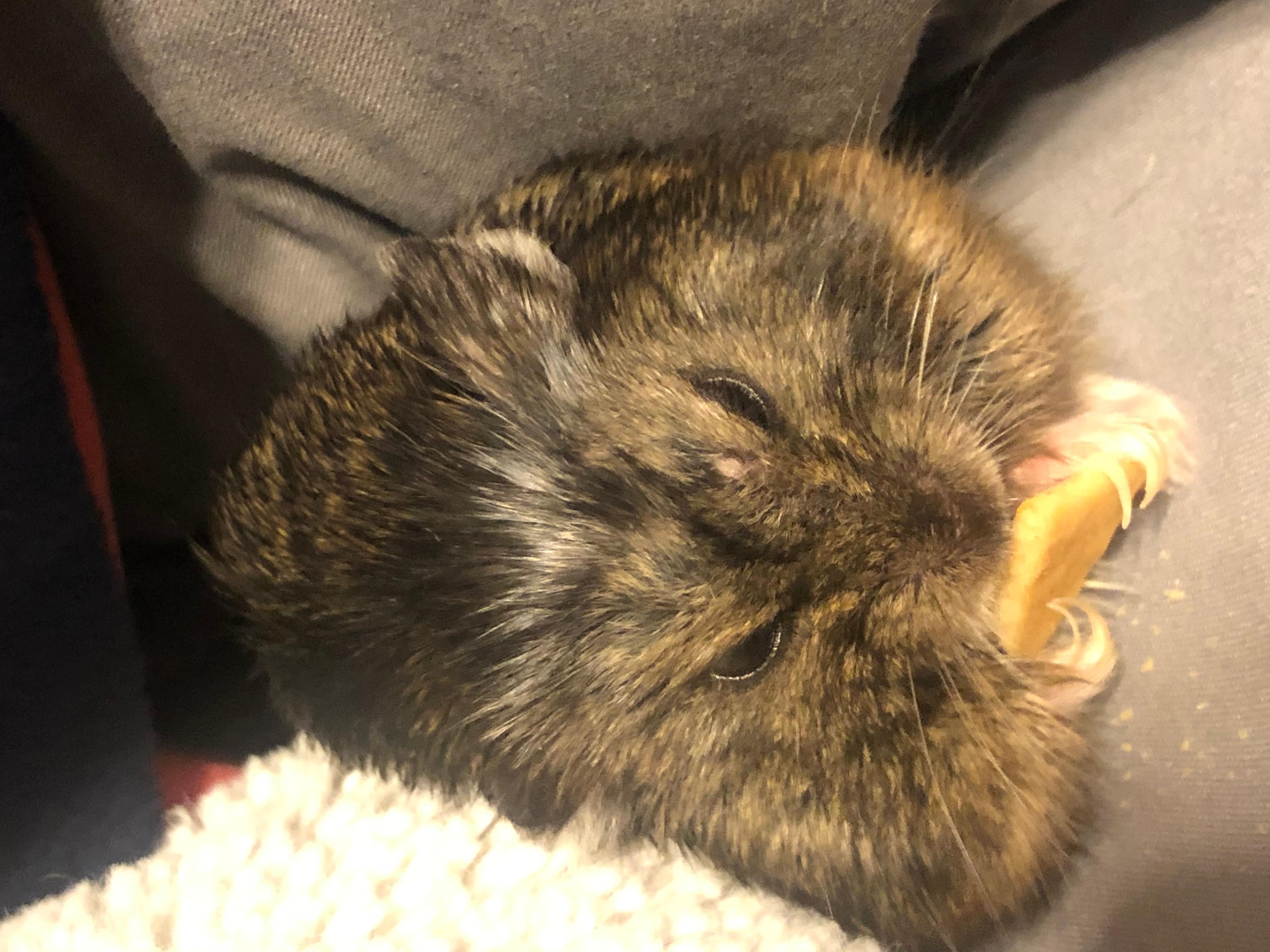 Question details sensitive content