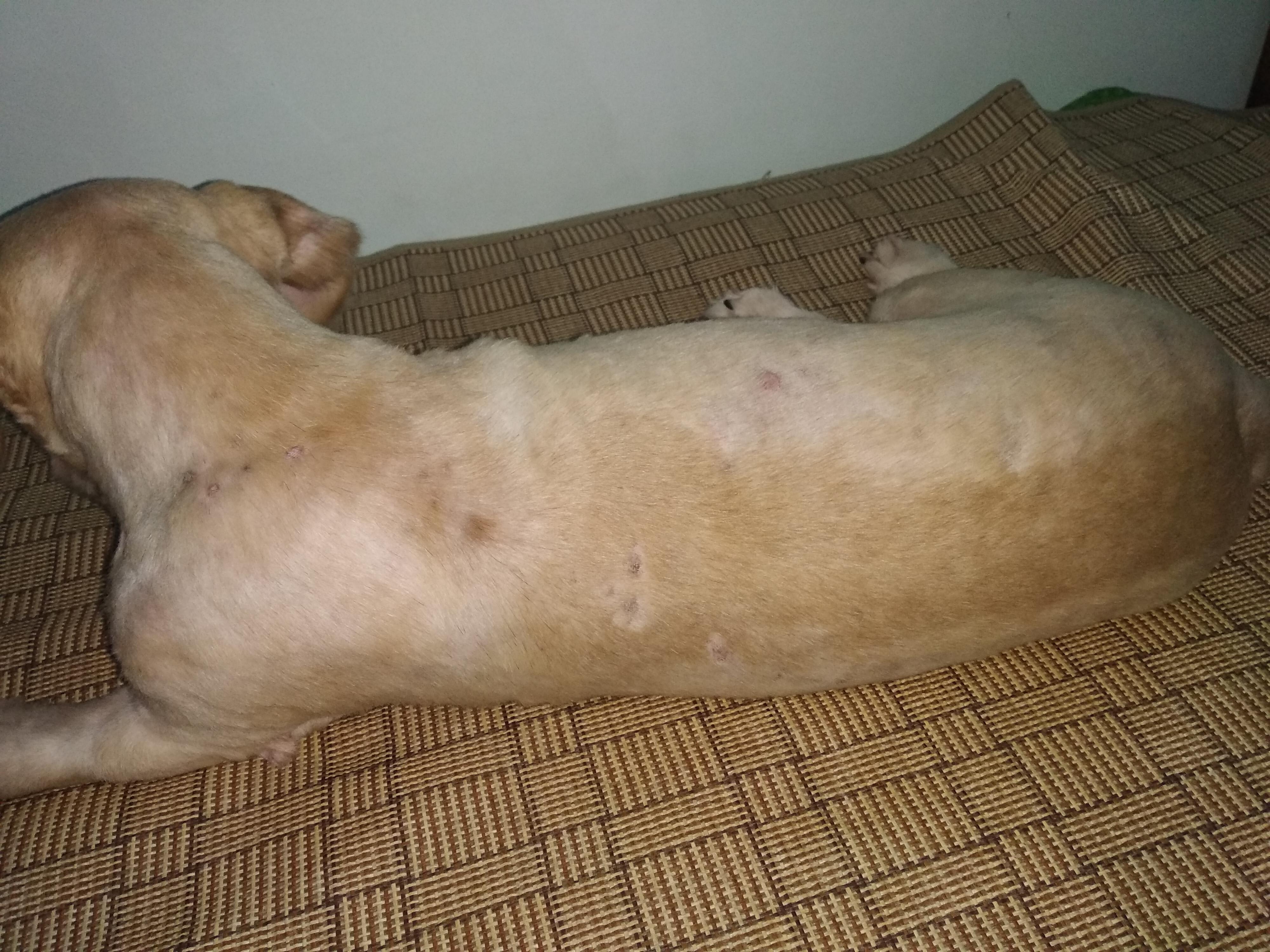 Question details sensitive content