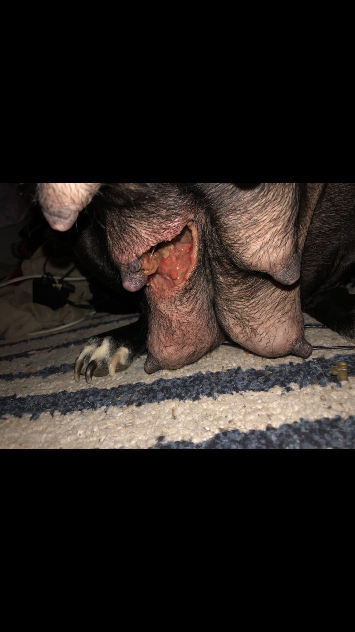 Question details sensitive content