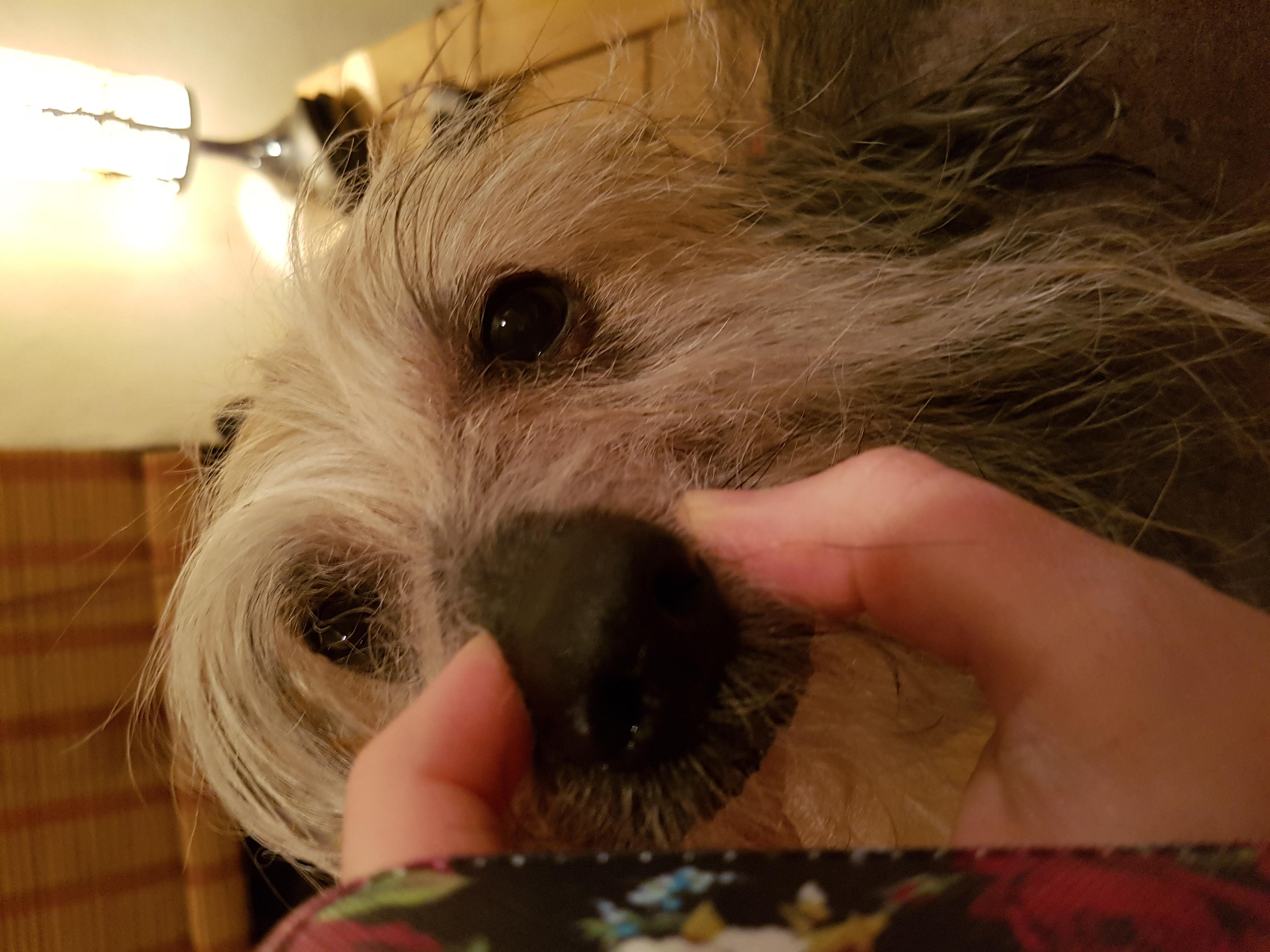 Question details sensitive content