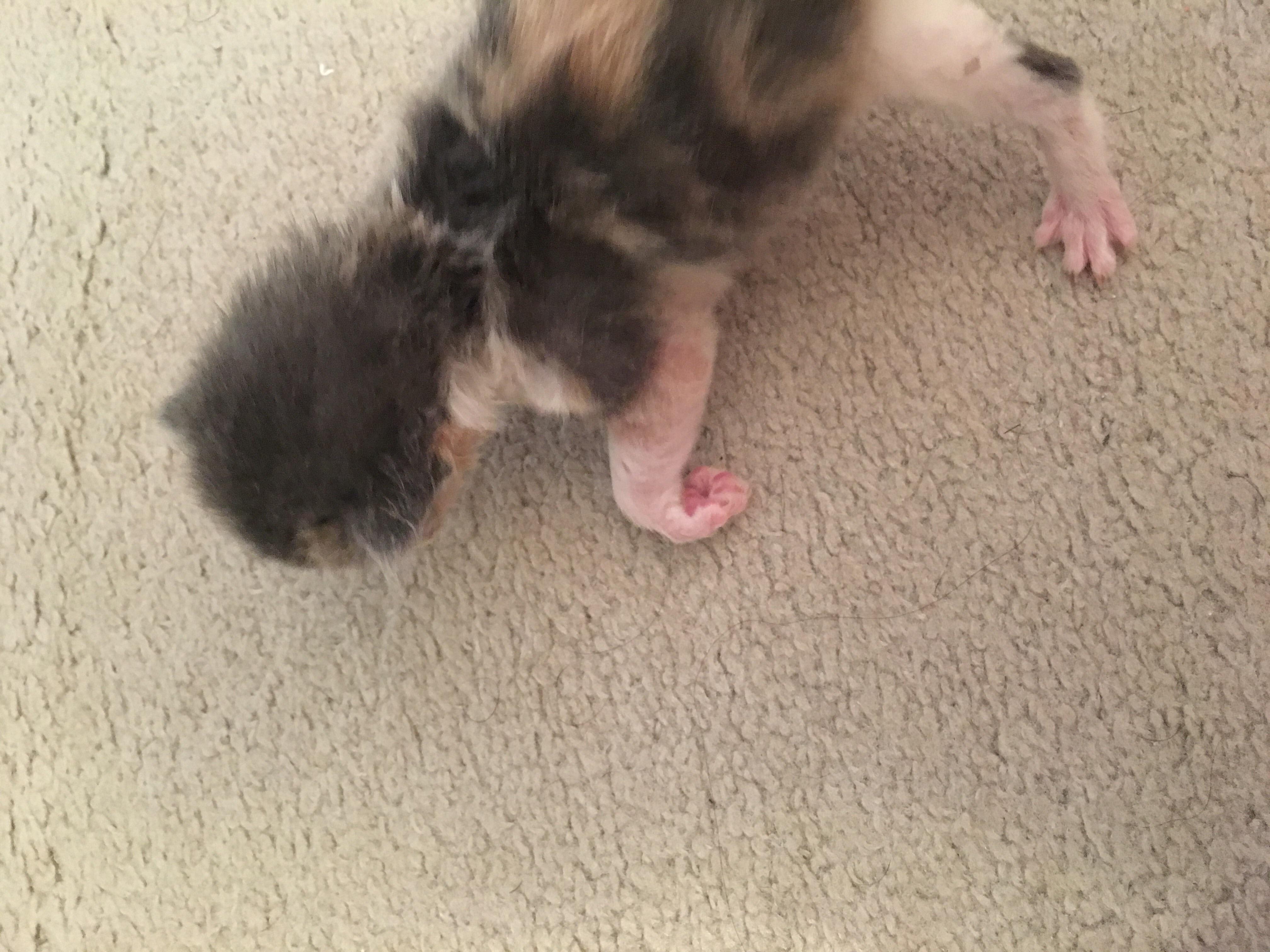 Question details sensitive content