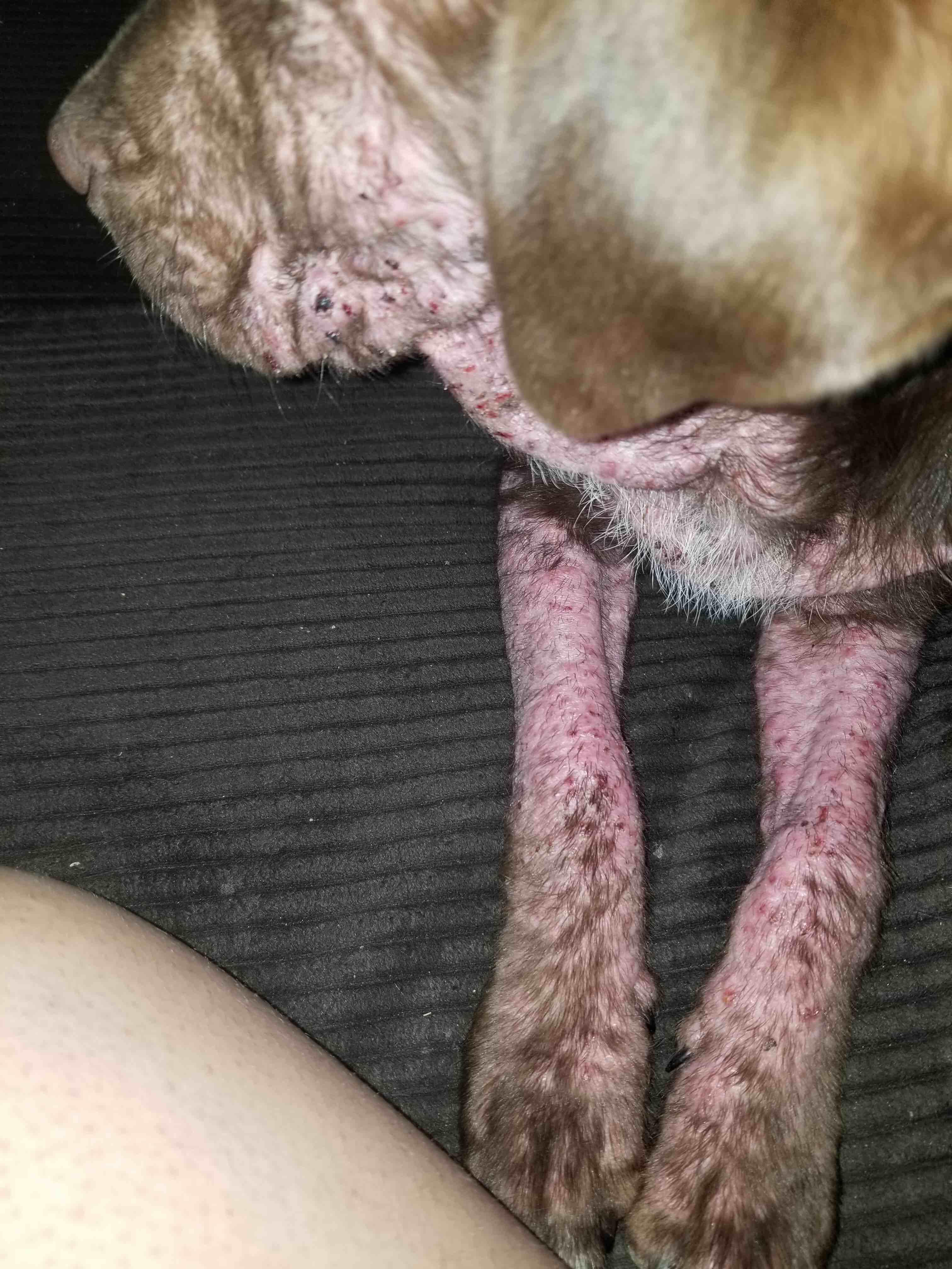 Question details sensitive content