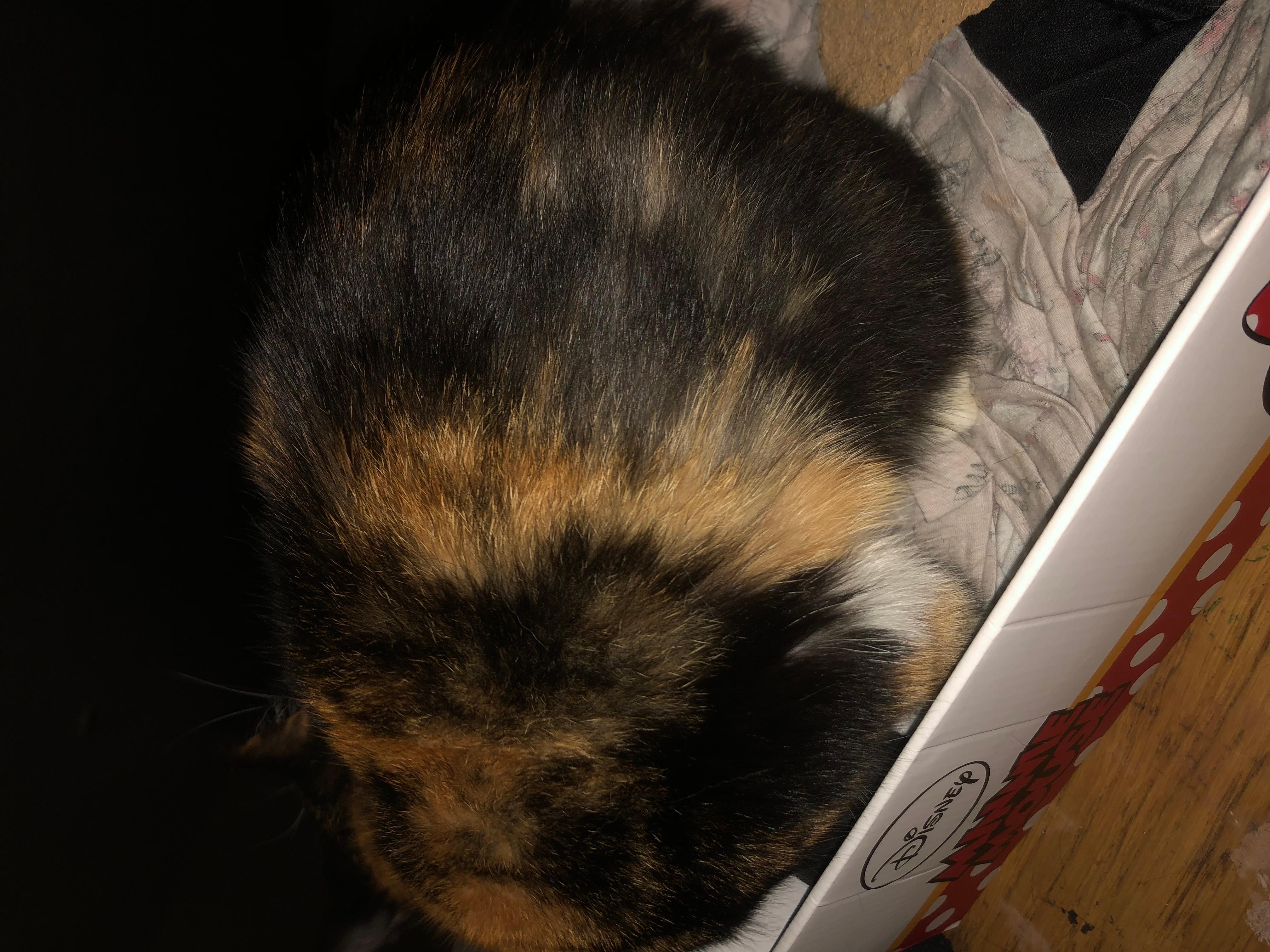 Question details sensitive content