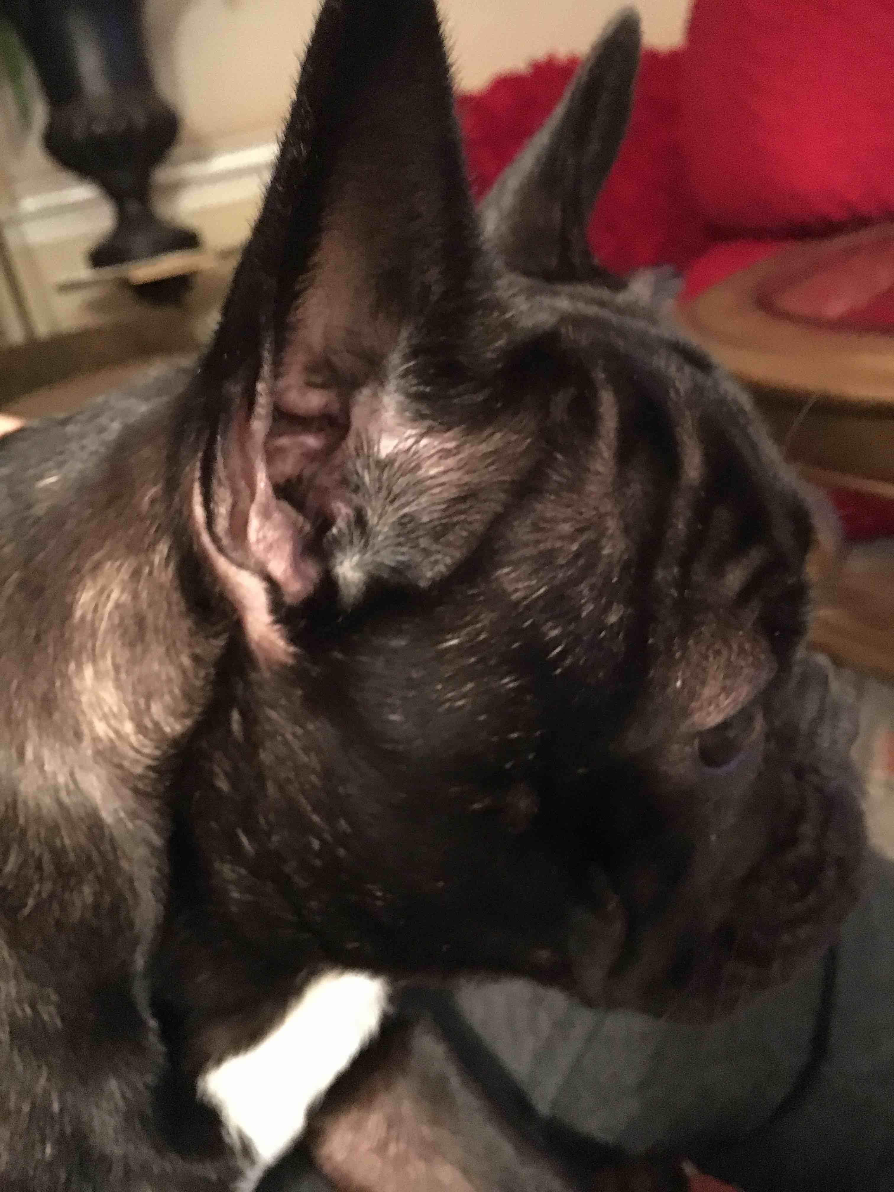 Question details sensitive content