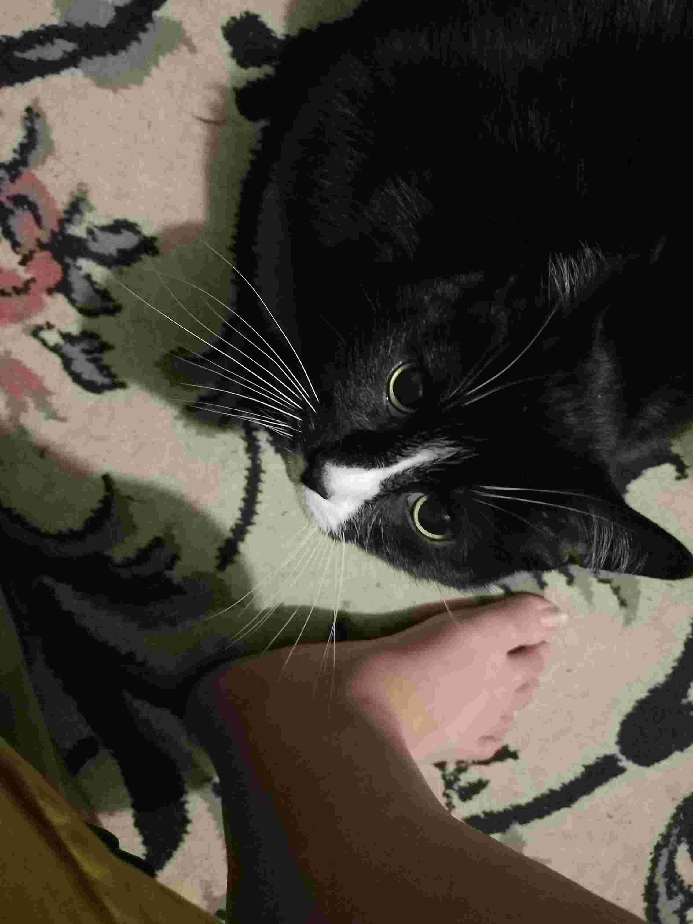 Question details sensitive content