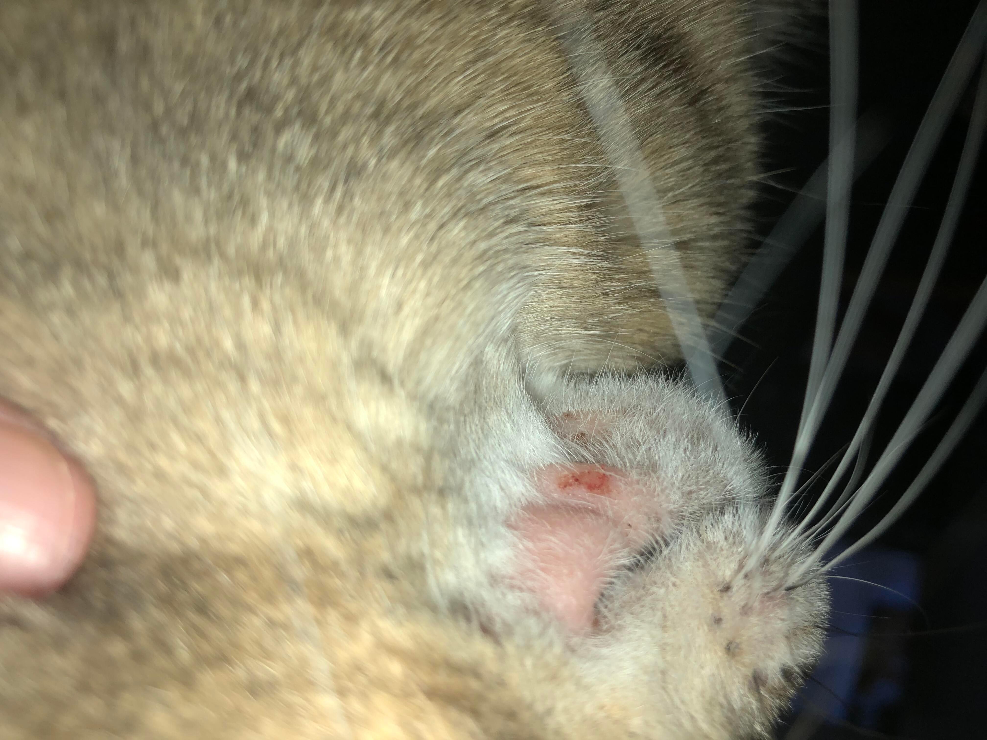 Question details sensitive content