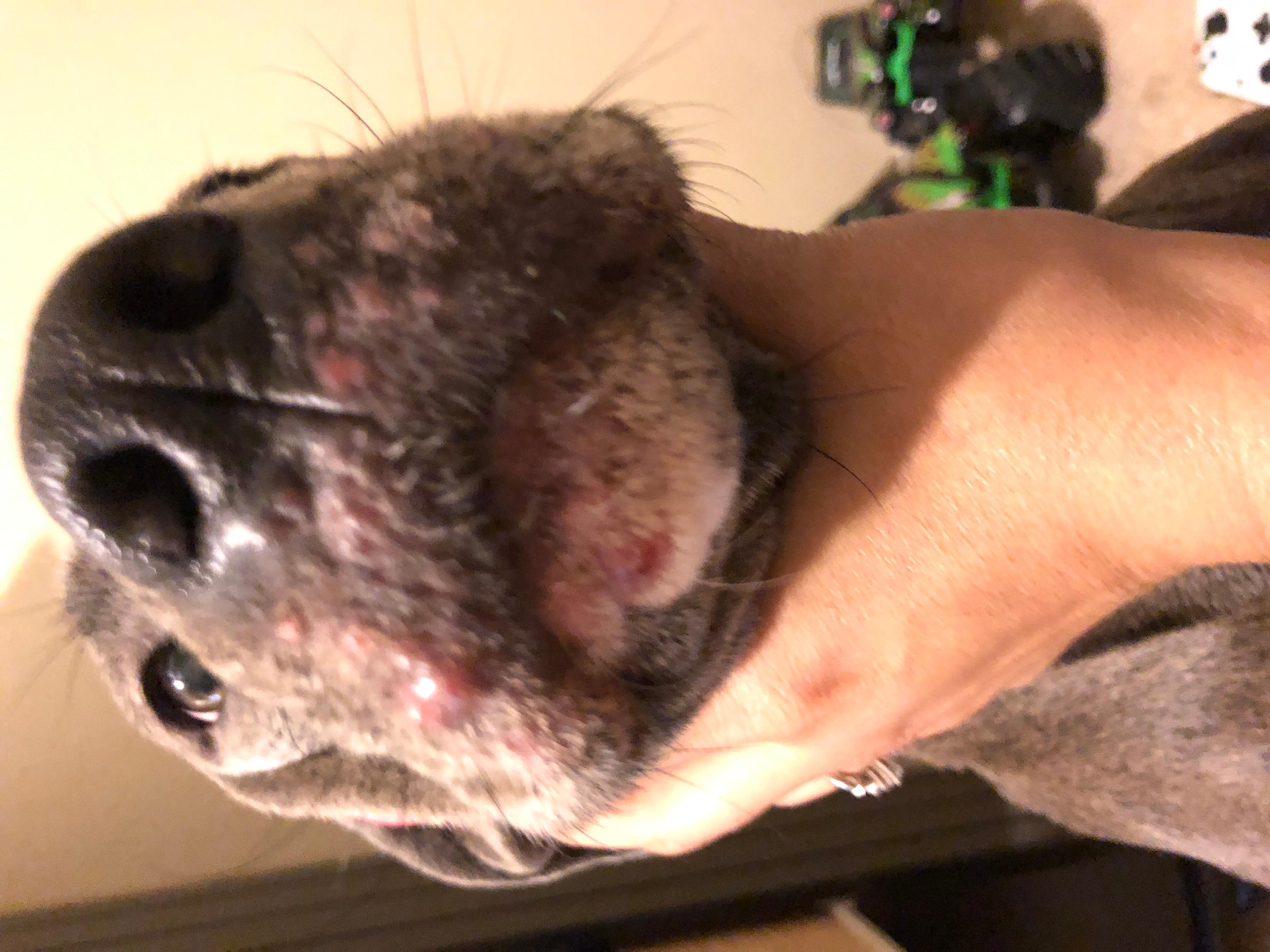 Question details sensitive content