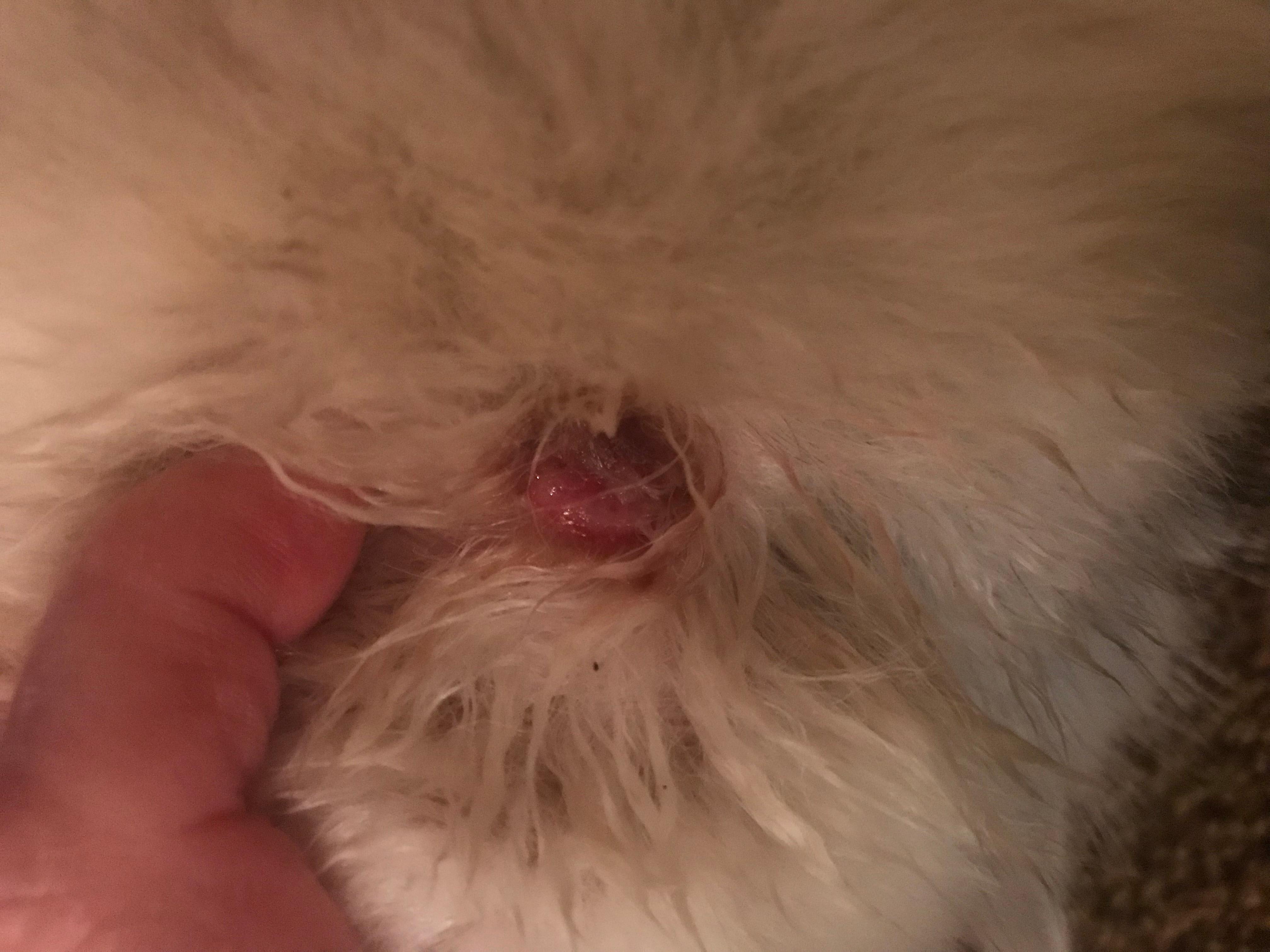 Question details sensitive content