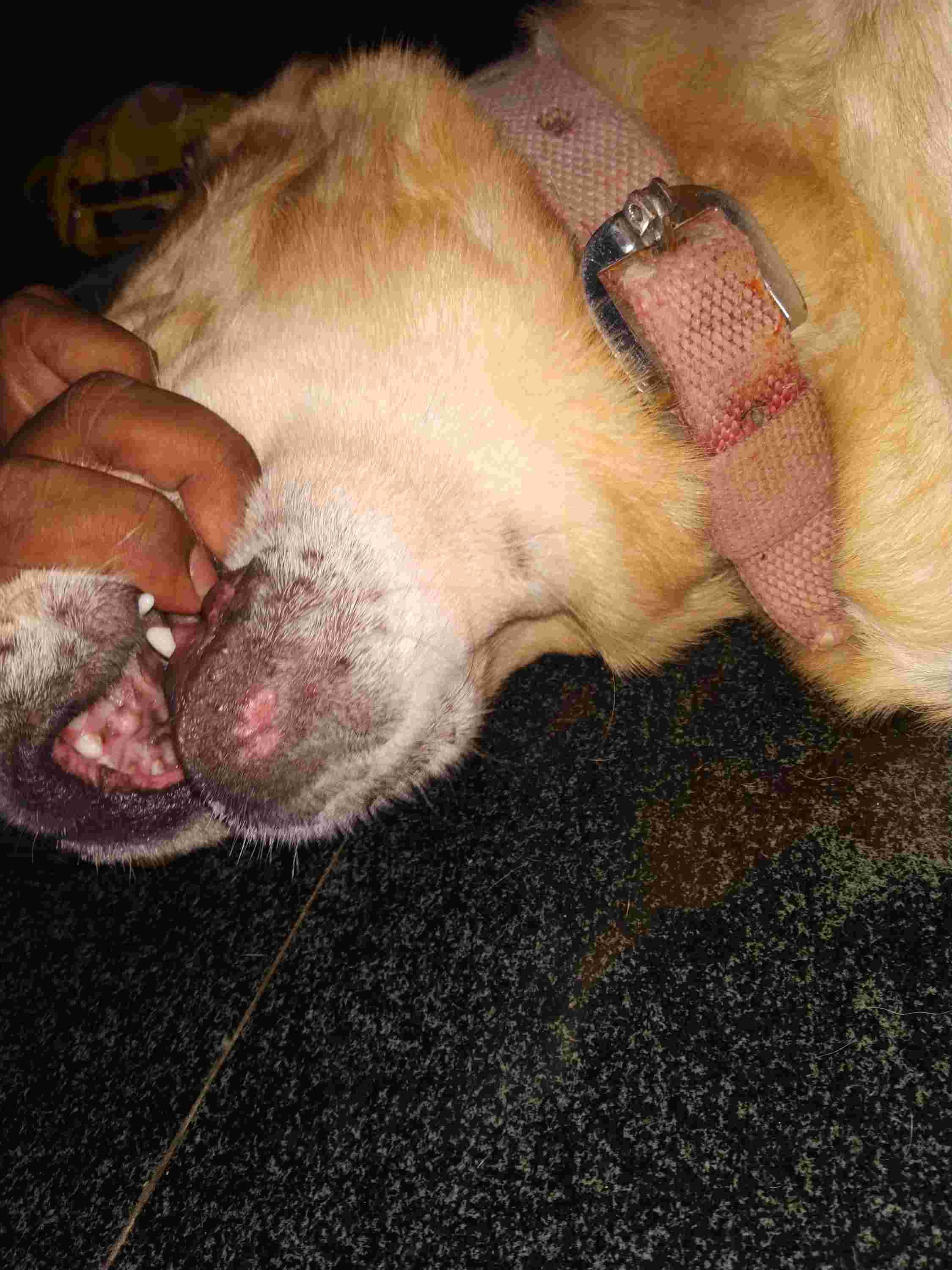 Question details sensitive content