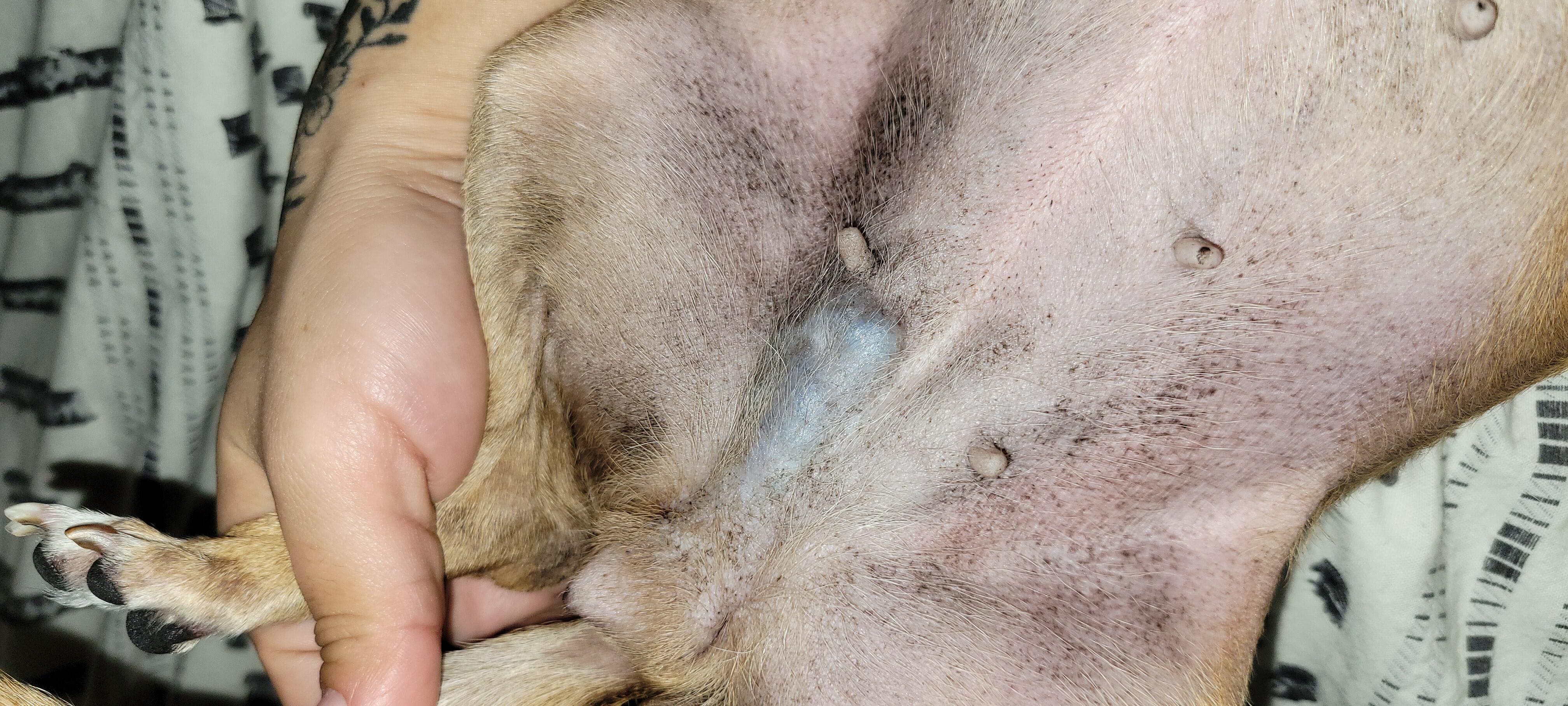 Question details sensitive content