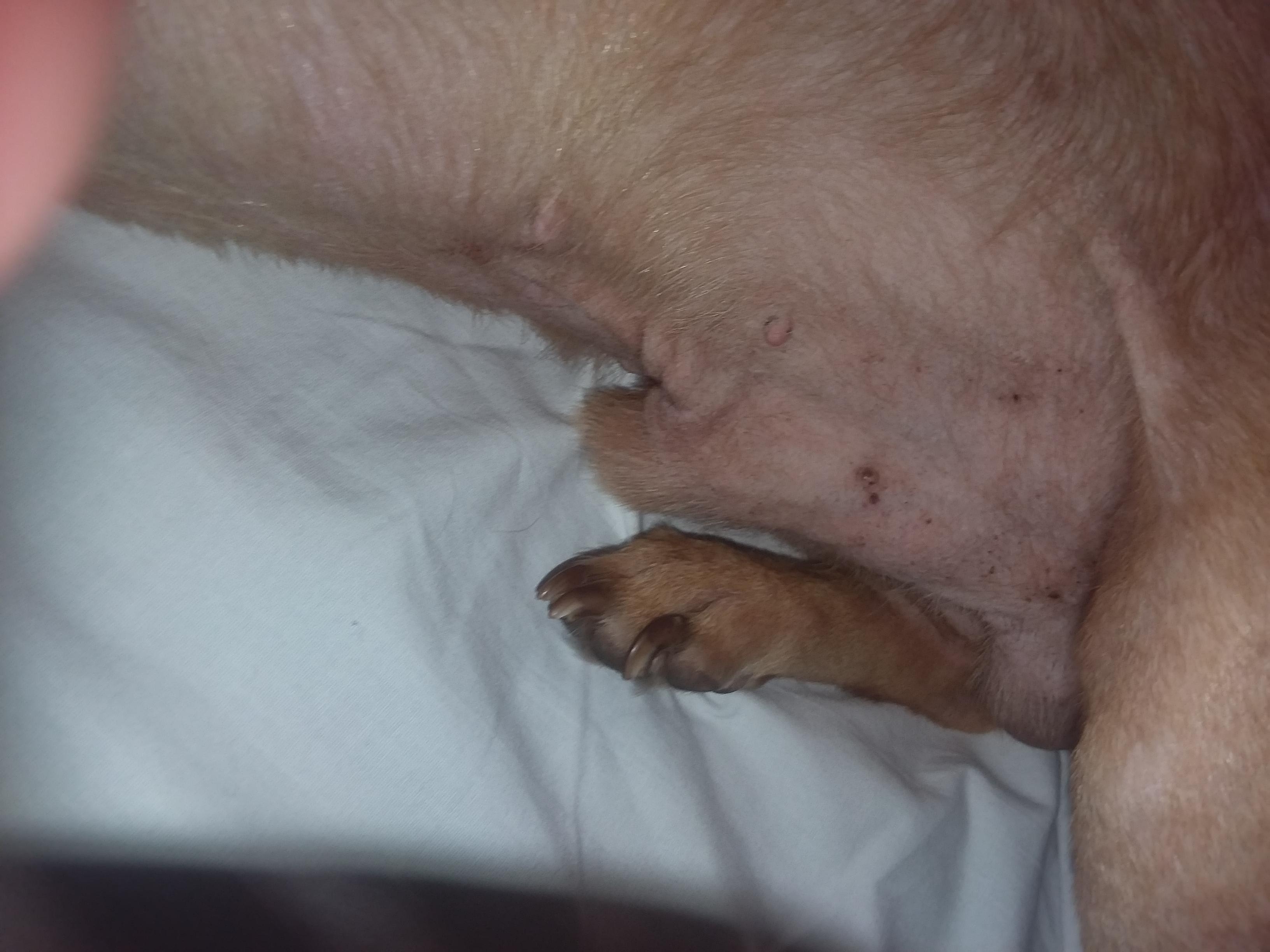 Question details sensitive content