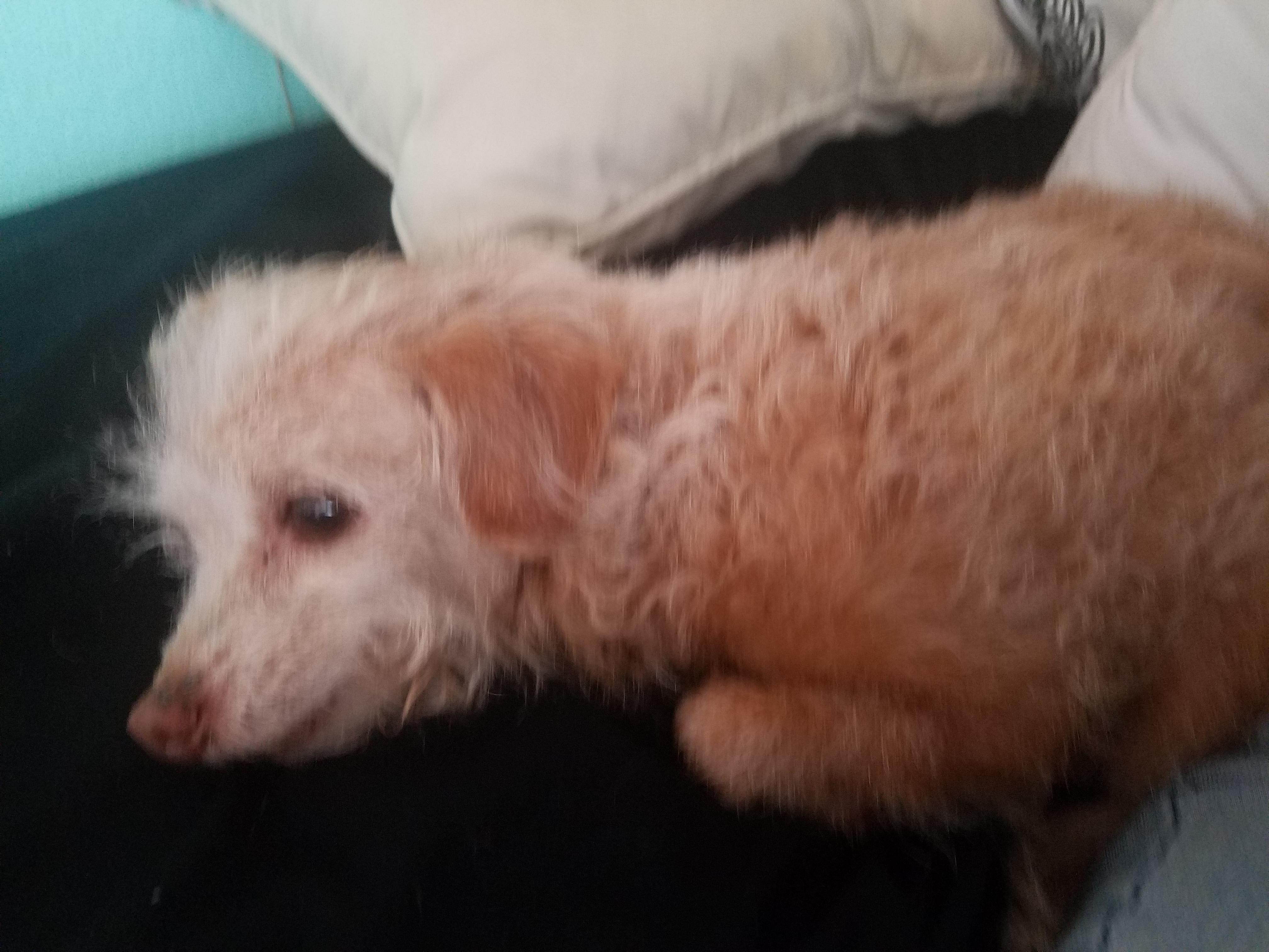 Question details sensitive content