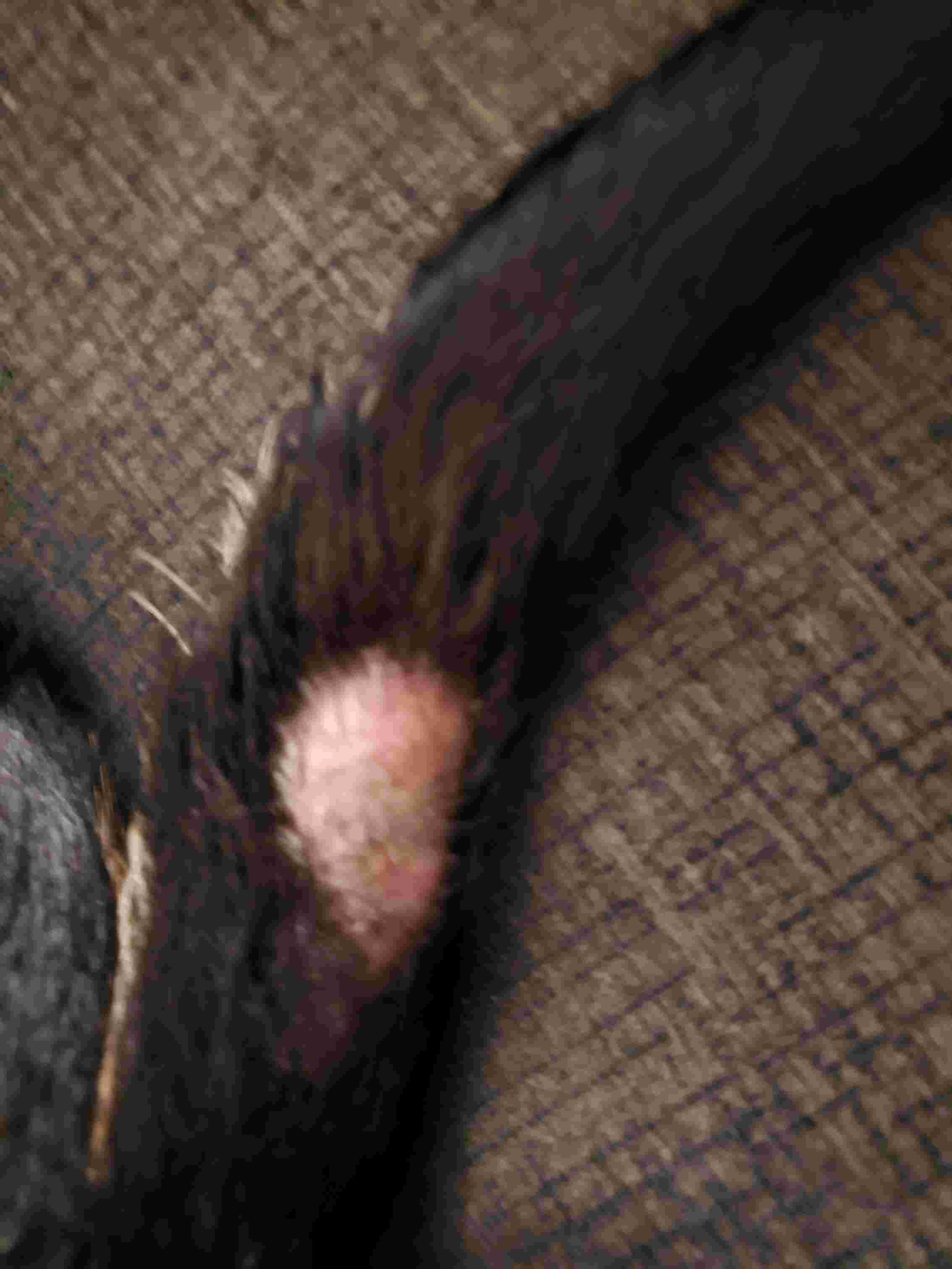 Question details sensitive content