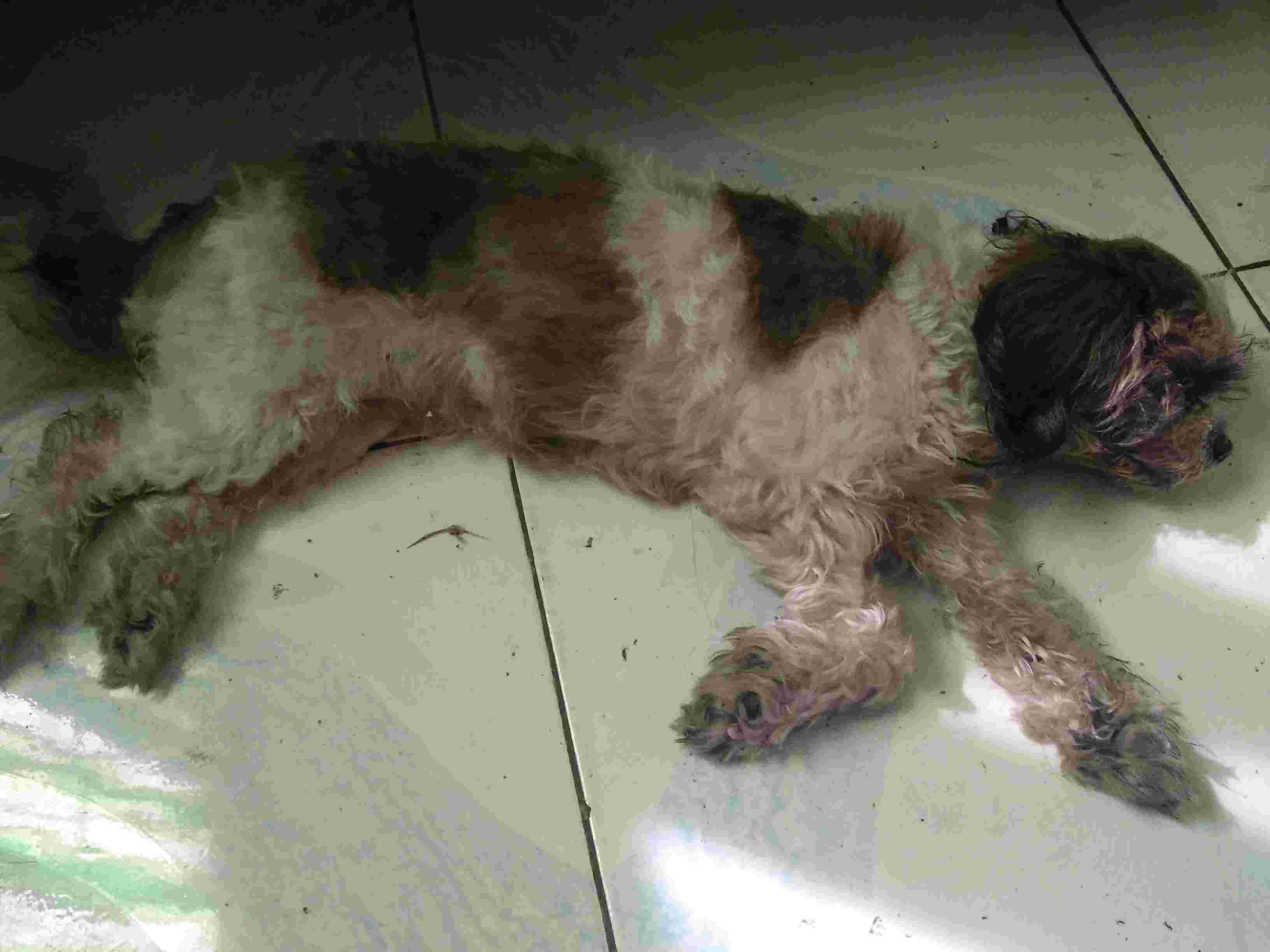 Question details sensitive content