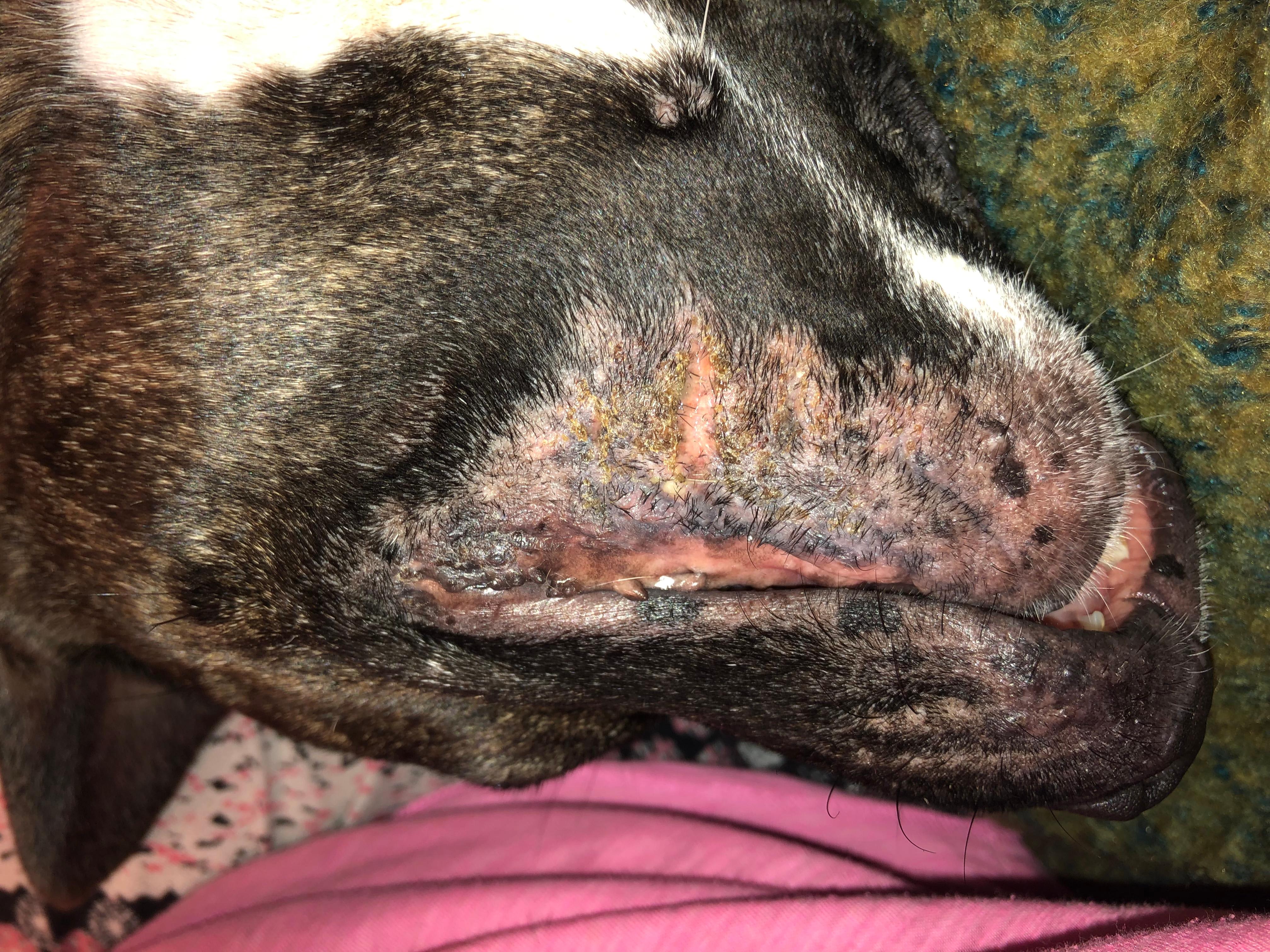 Question details sensitive content