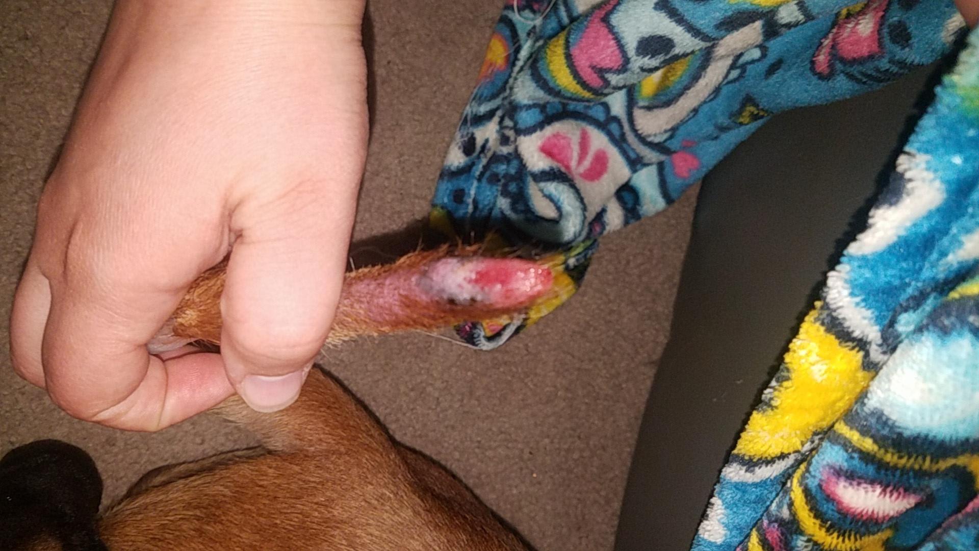 Question details sensitive content