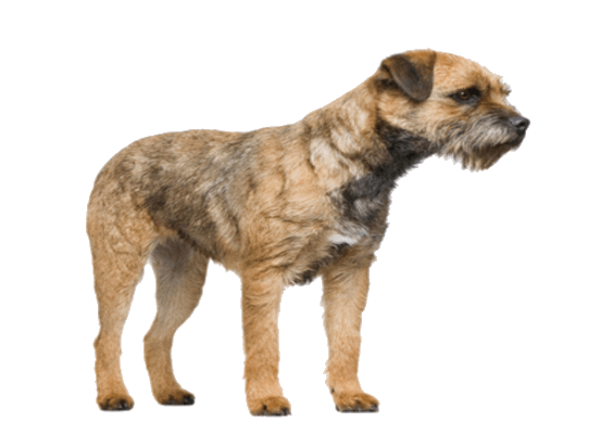 Petco Pet Education Center