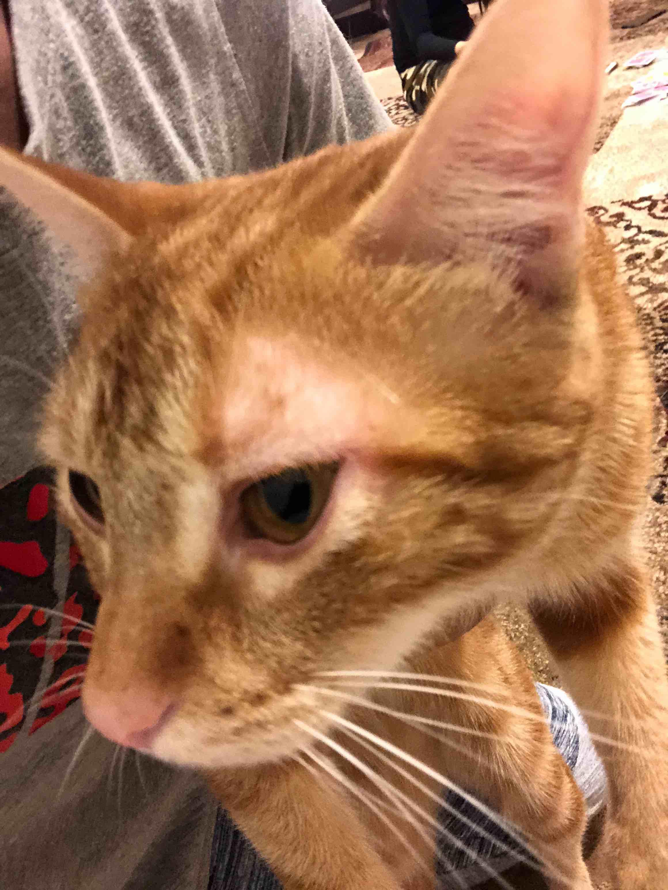 Question details sensitive content