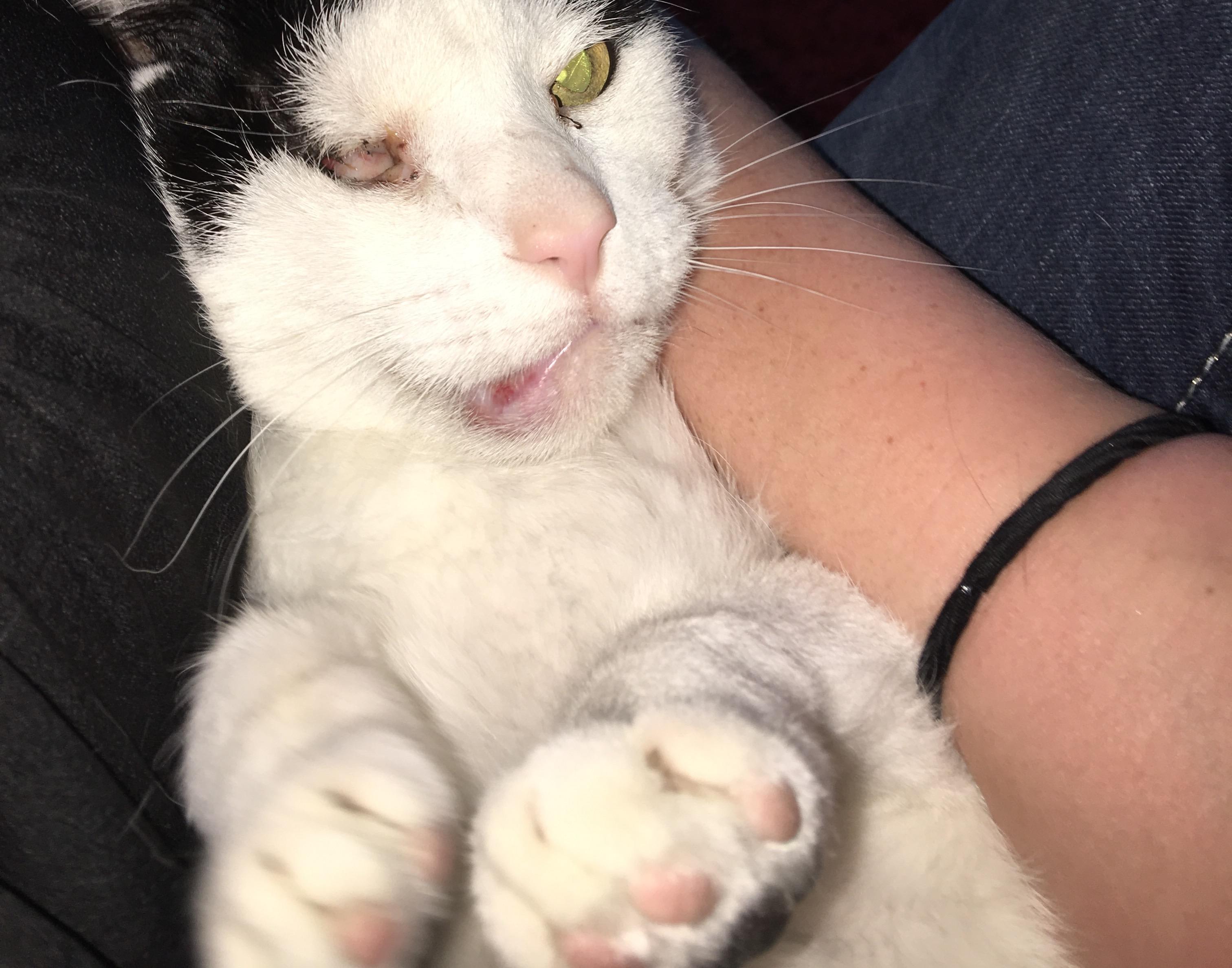 Question details sensitive content