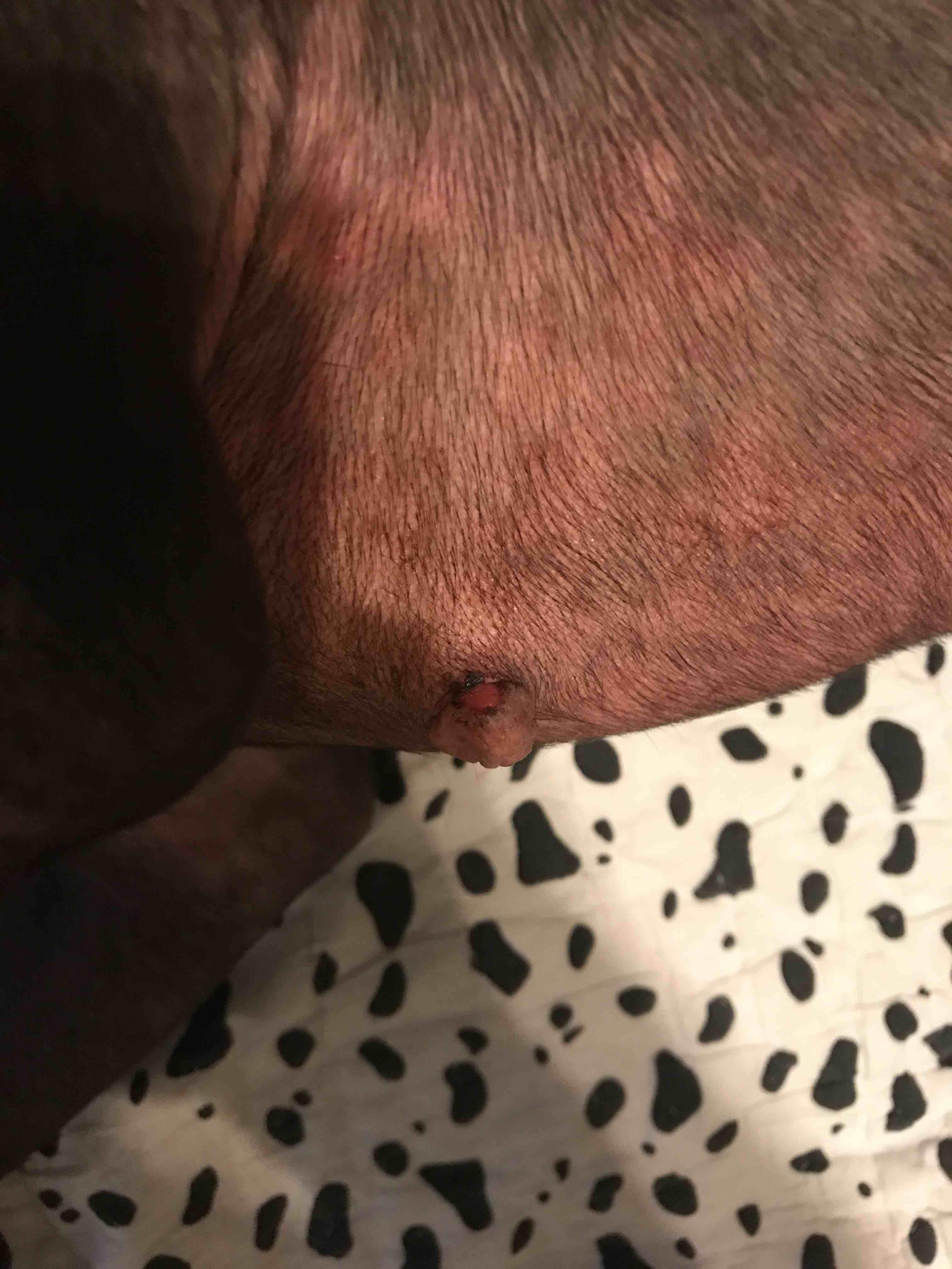 Question details sensitive content