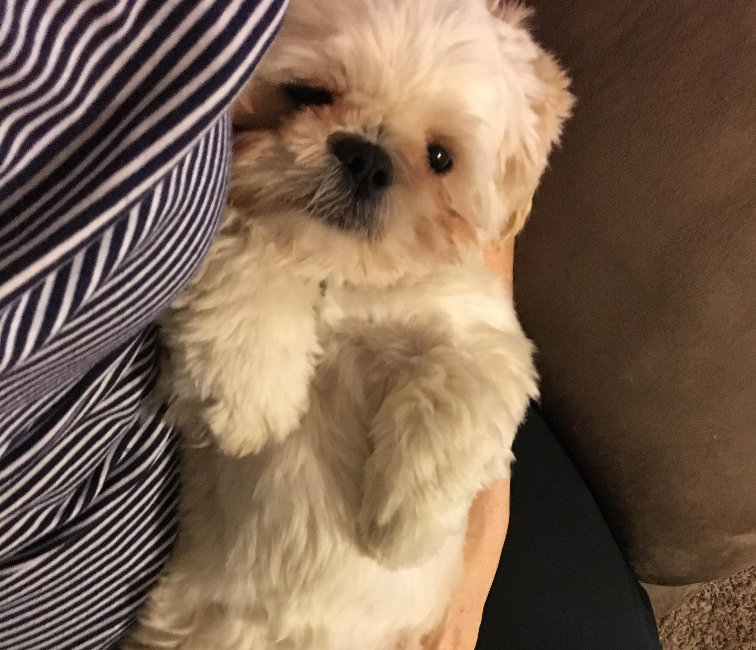 Question details sensitive content