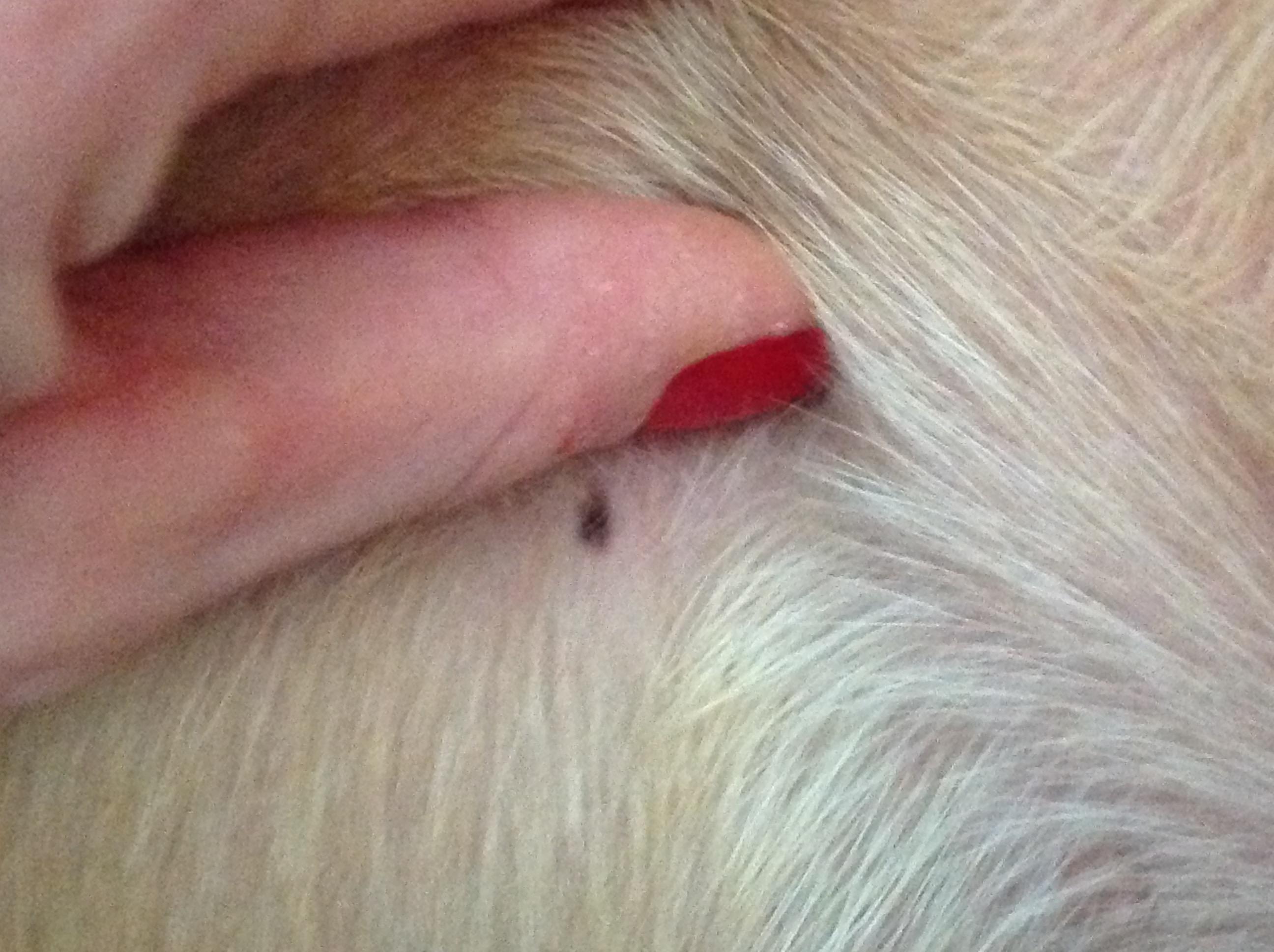 Question details sensitive content