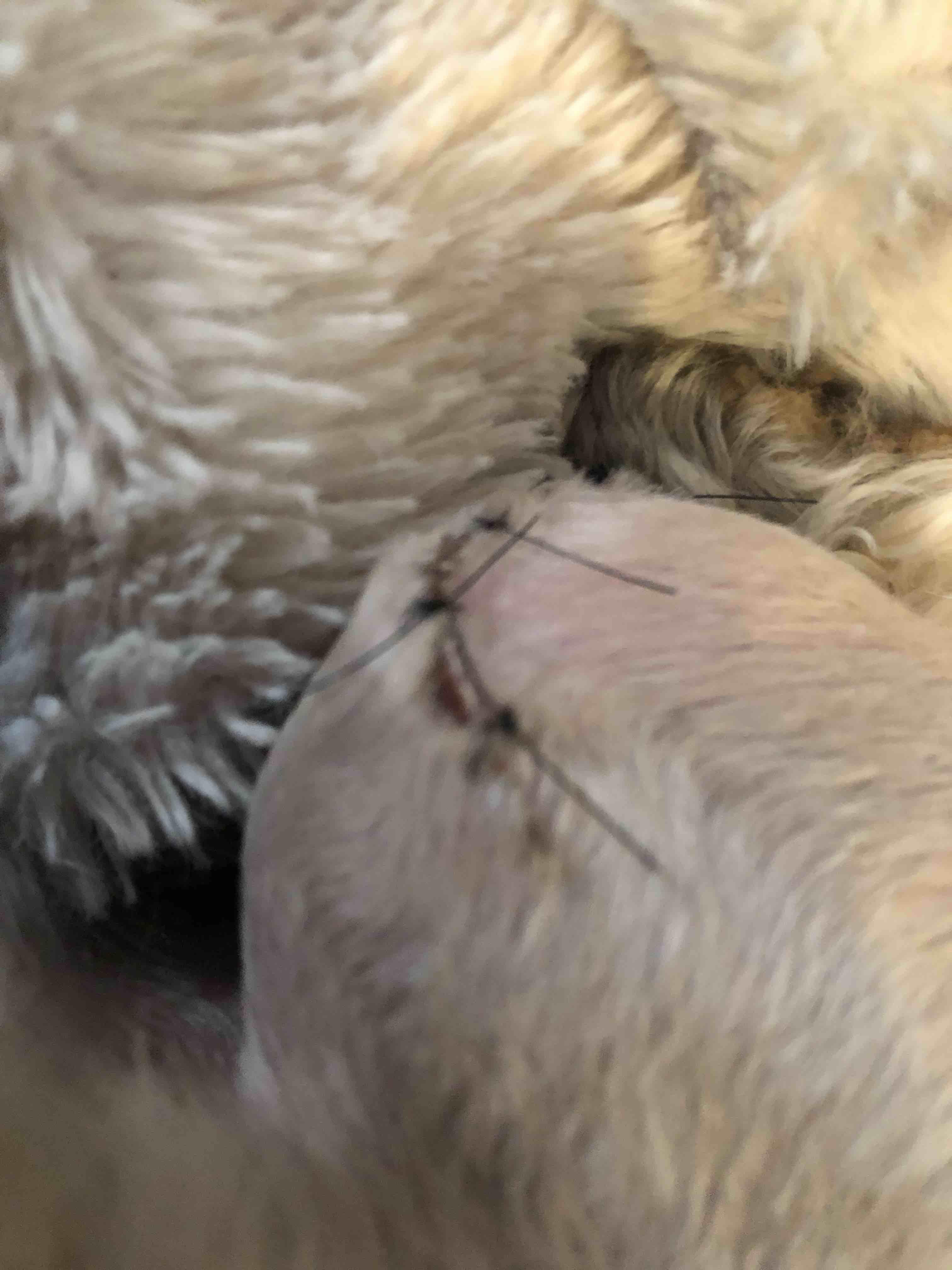 Question details sensitive content