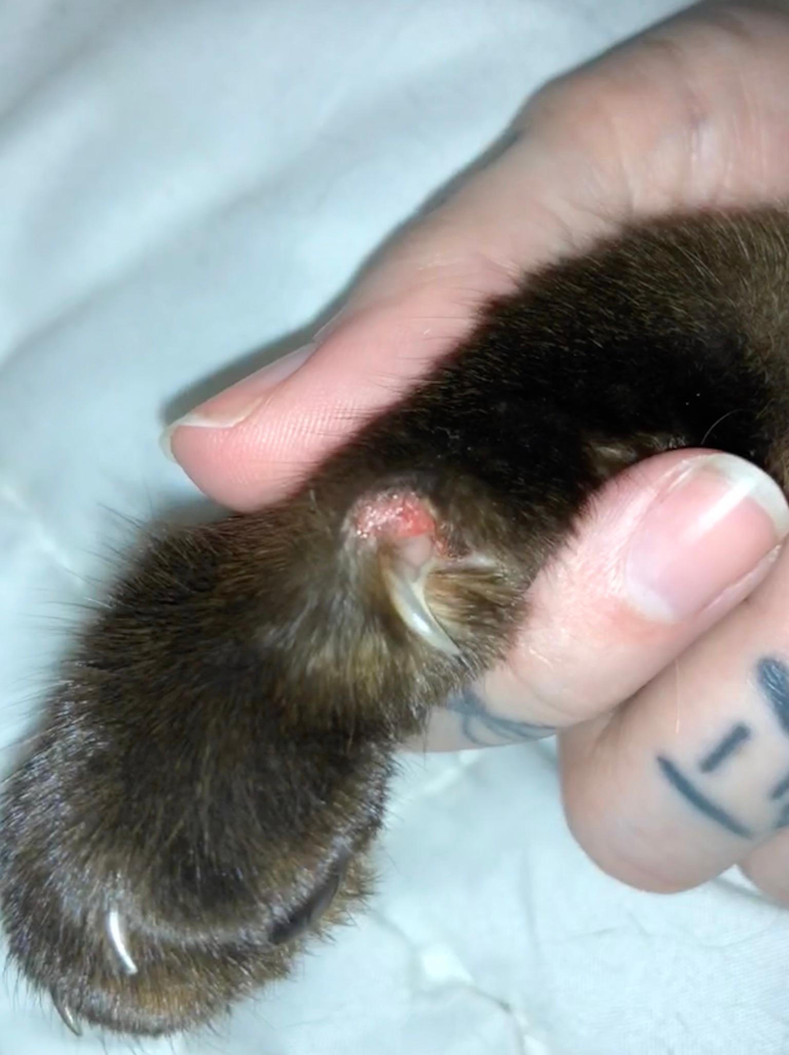 Question details sensitive content