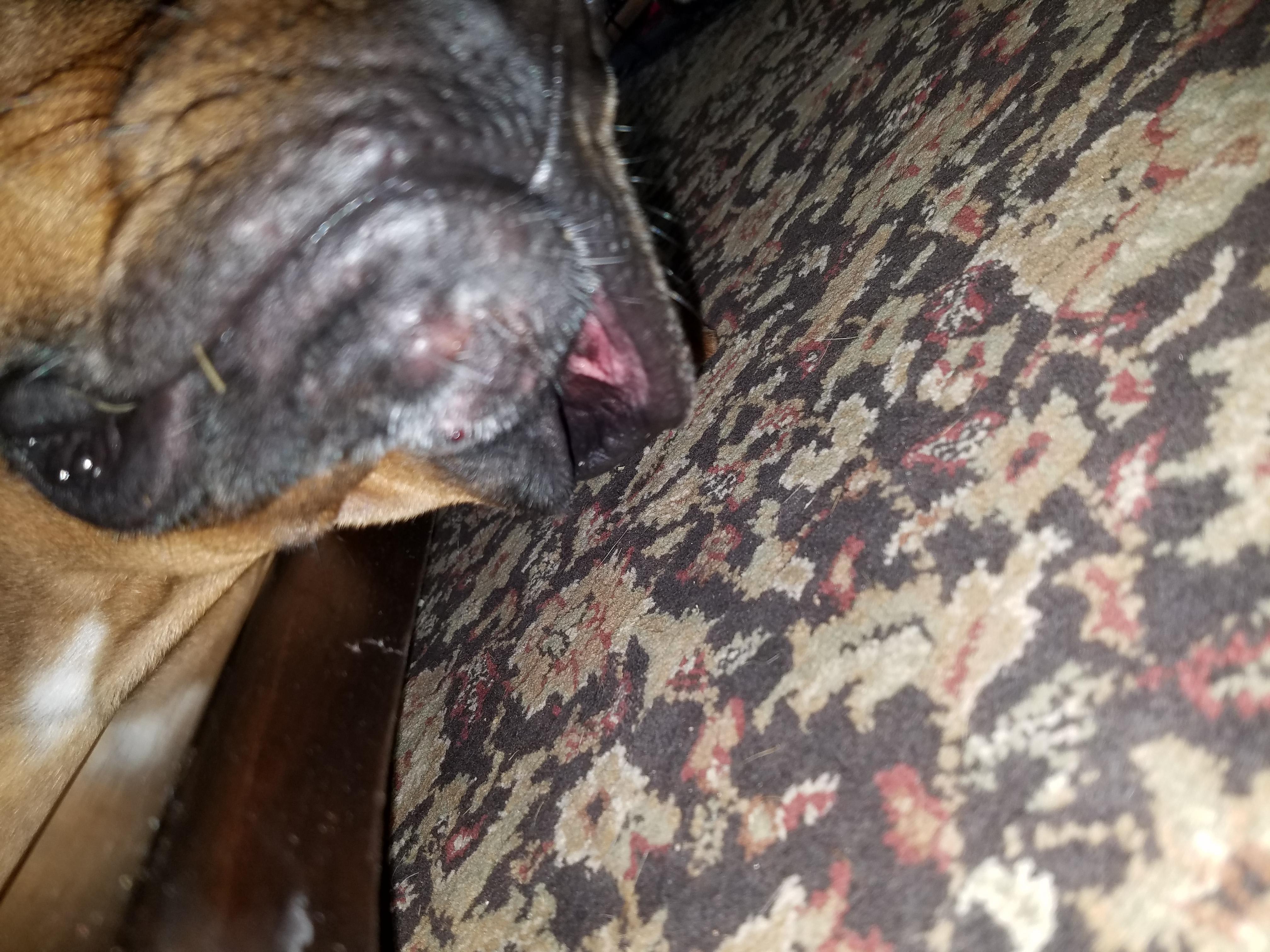 Question details sensitive content