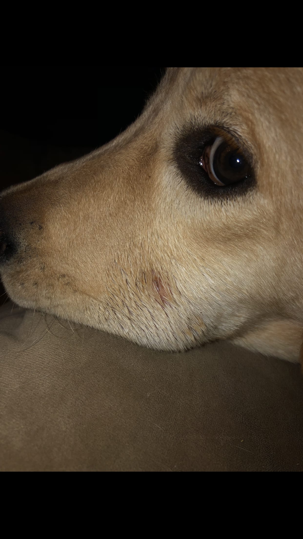 Question details sensitive content