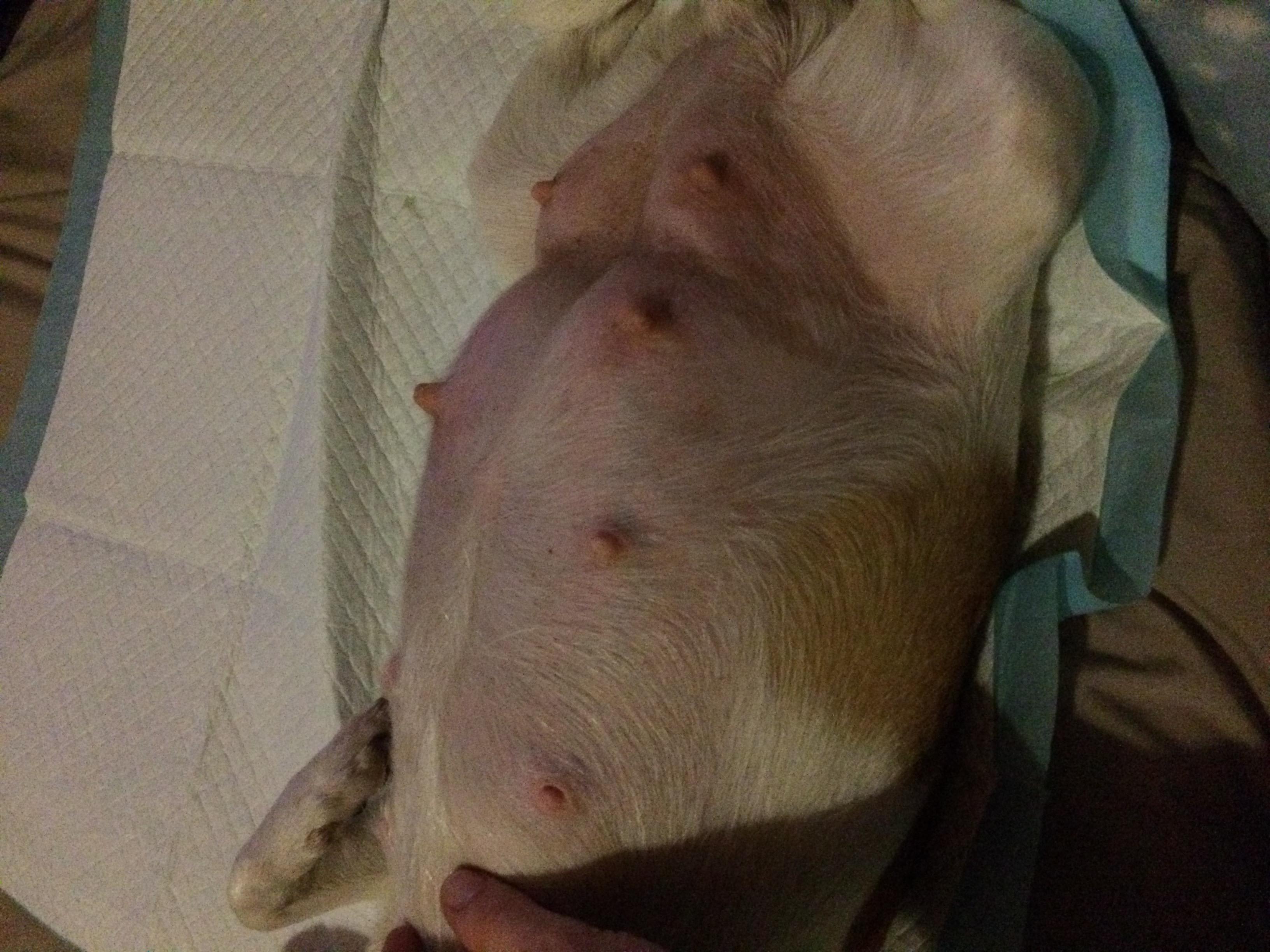 Question details sensitive content