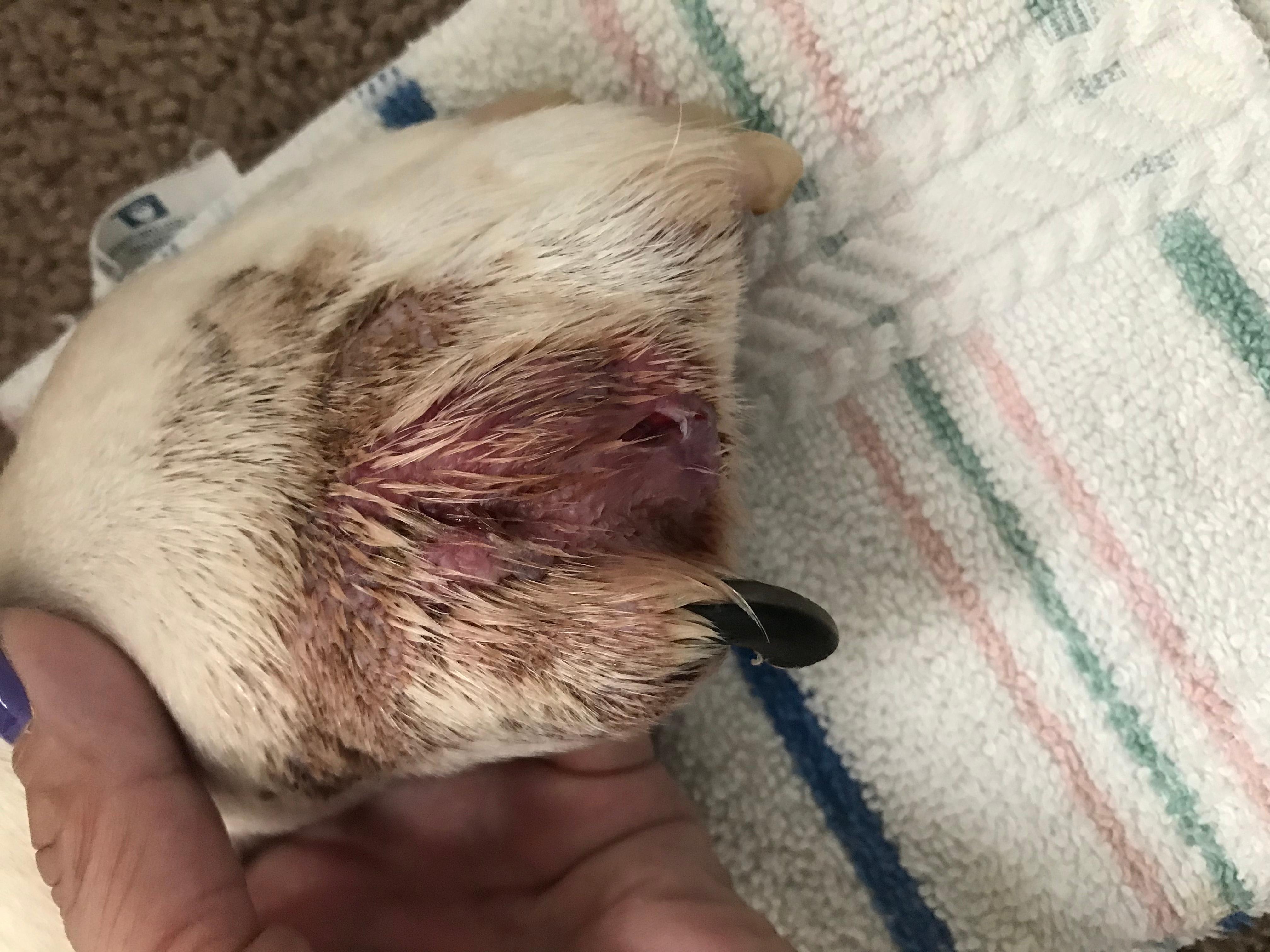 Question details sensitive content