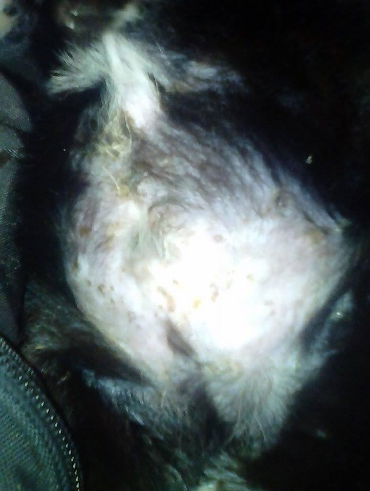 Question details sensitive content