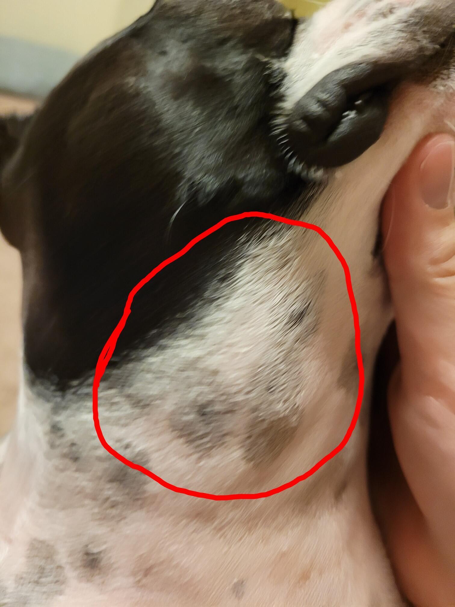 Question details sensitive content