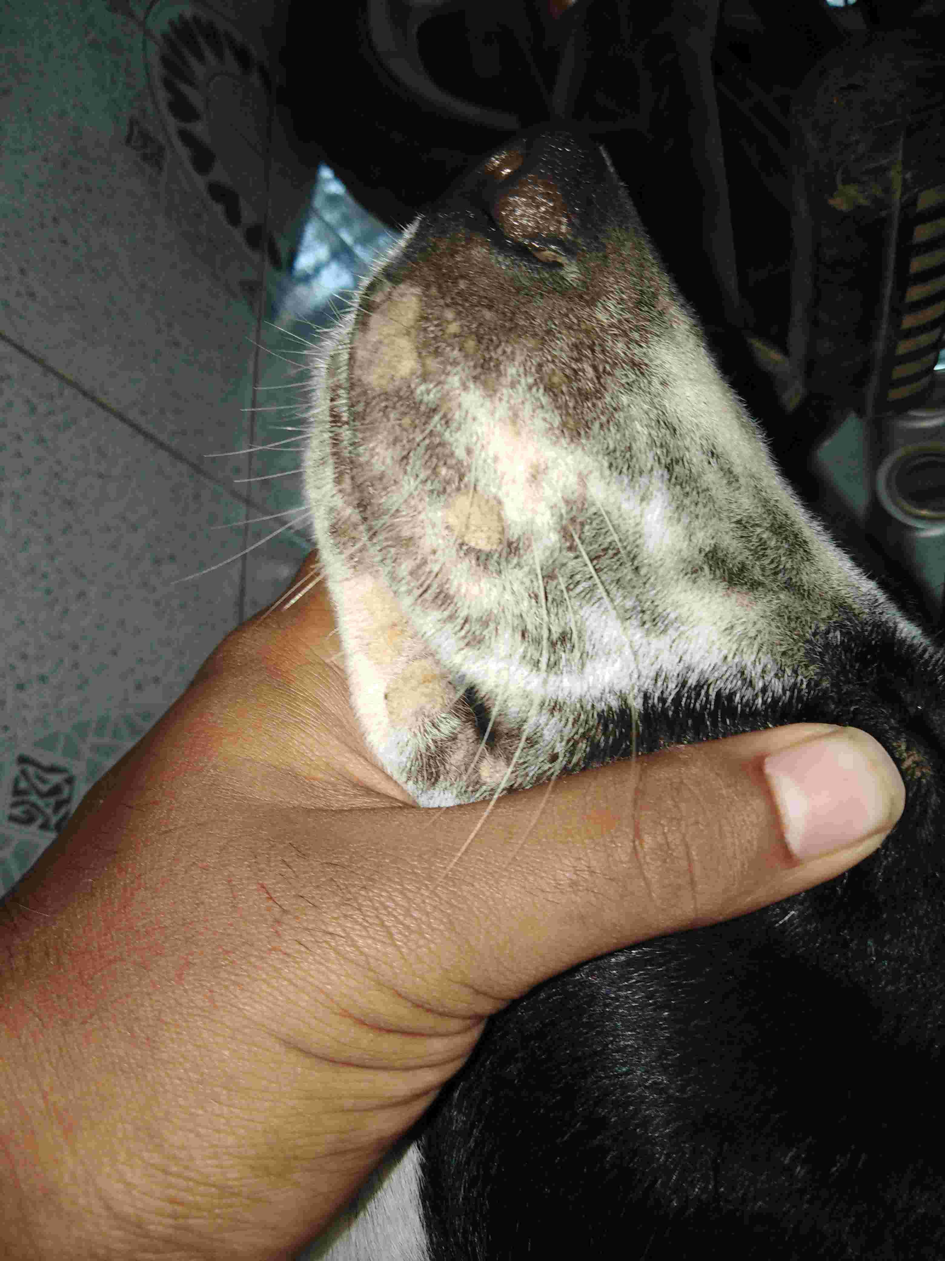 Question details sensitive content