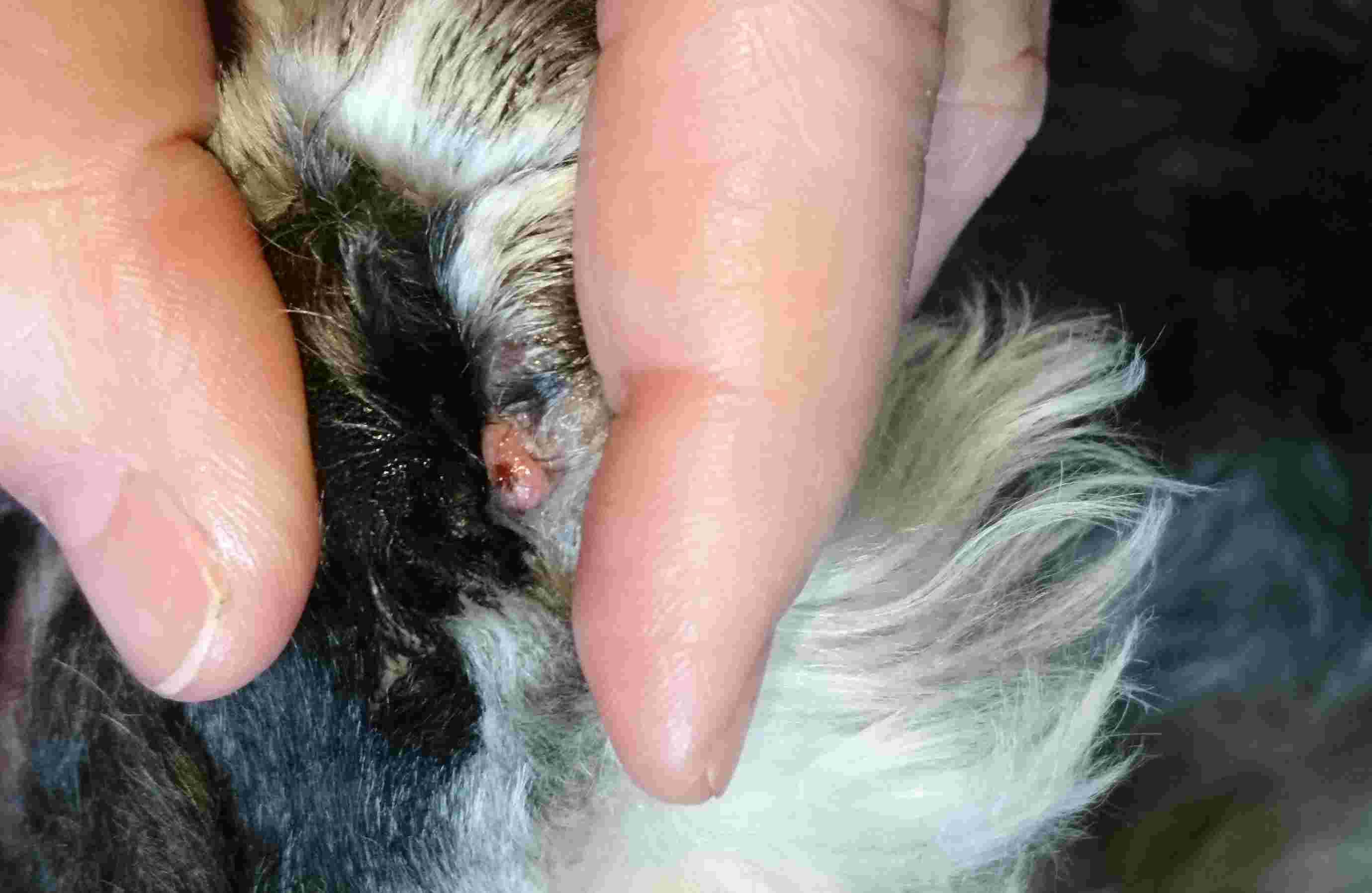 Question details sensitive content