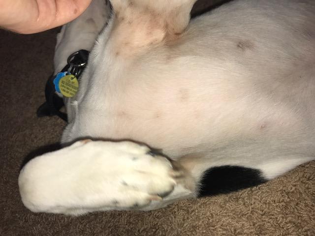 Question details sensitive content