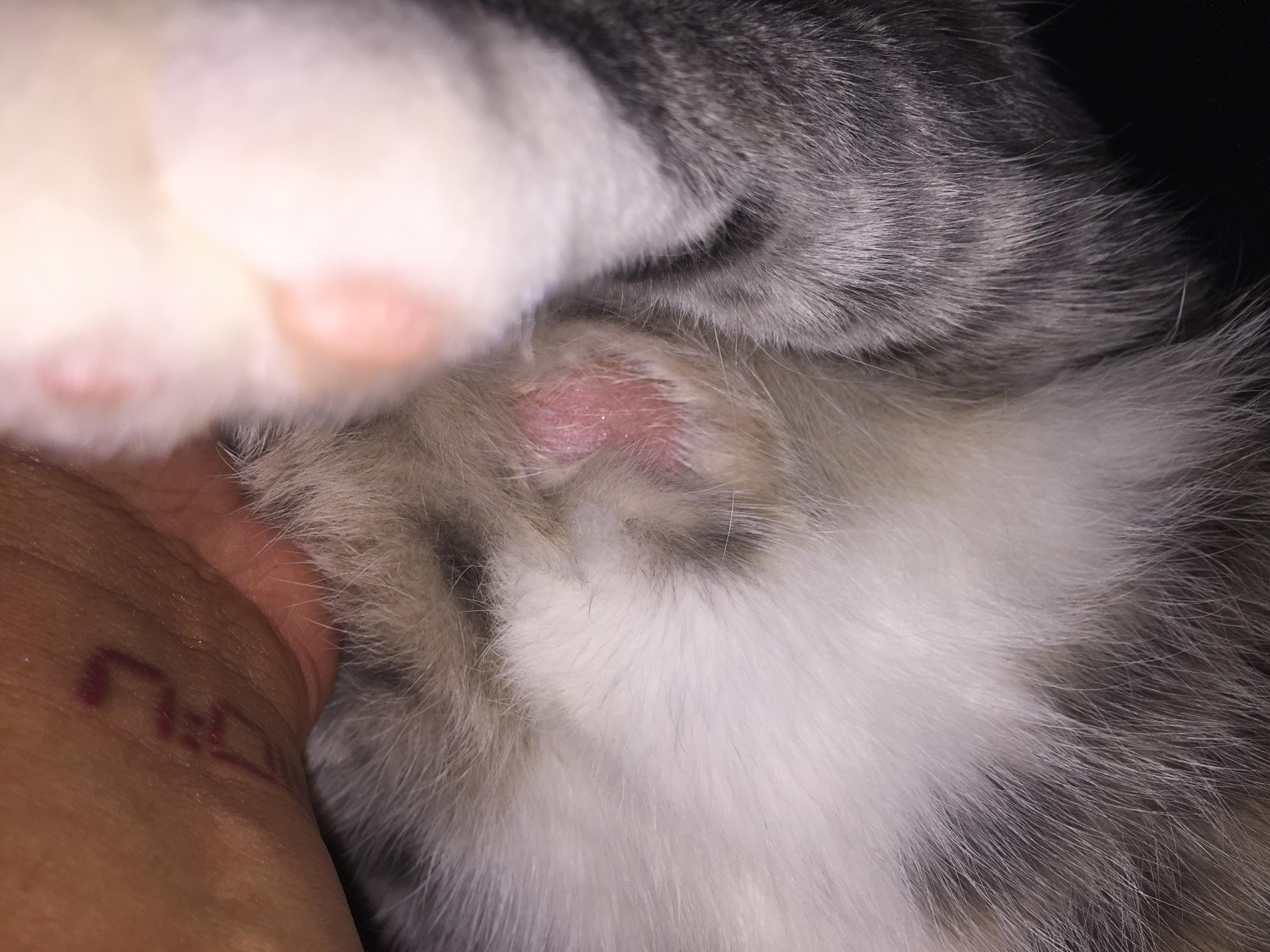 Question details sensitive content