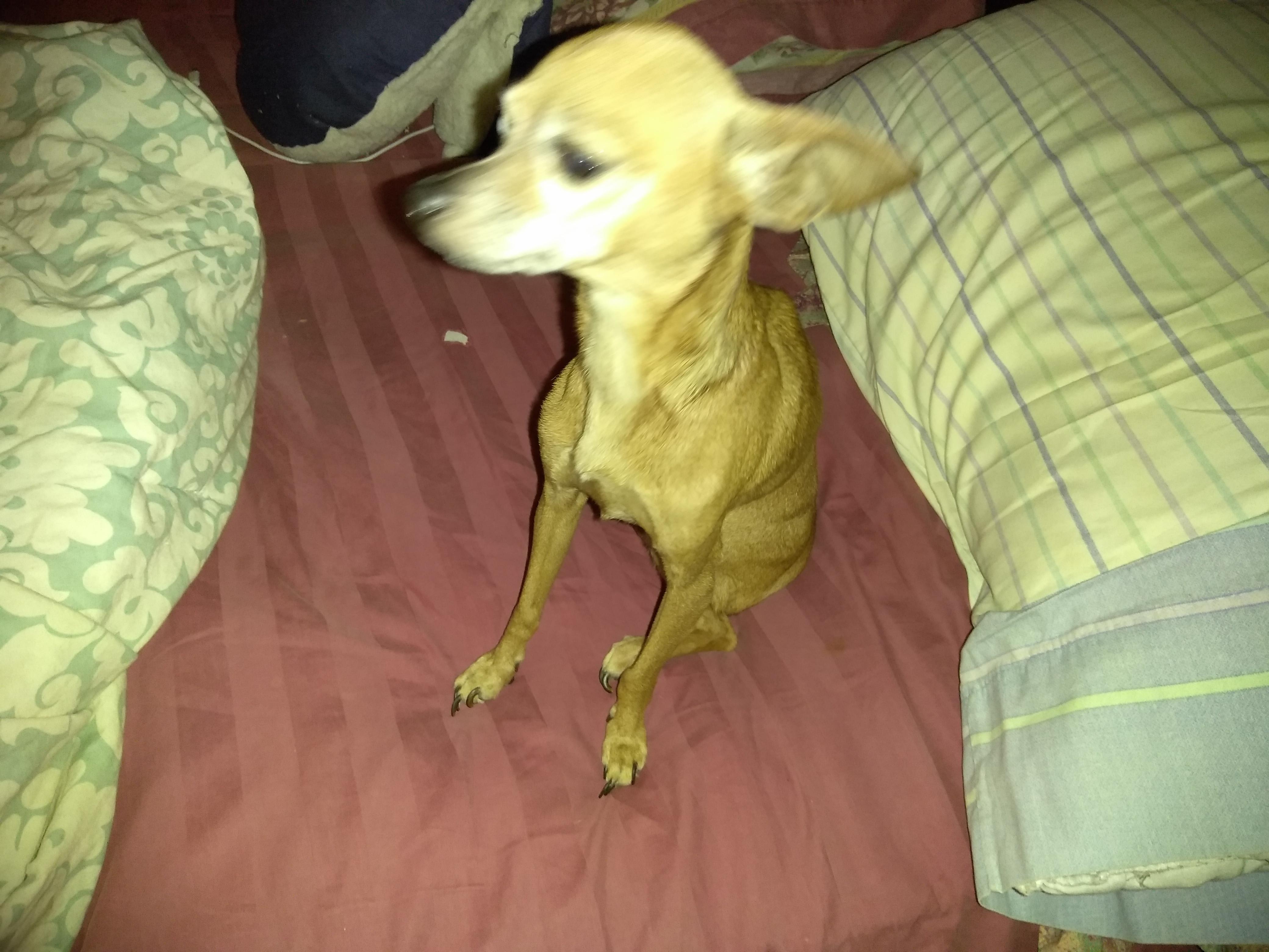 Question details sensitive content