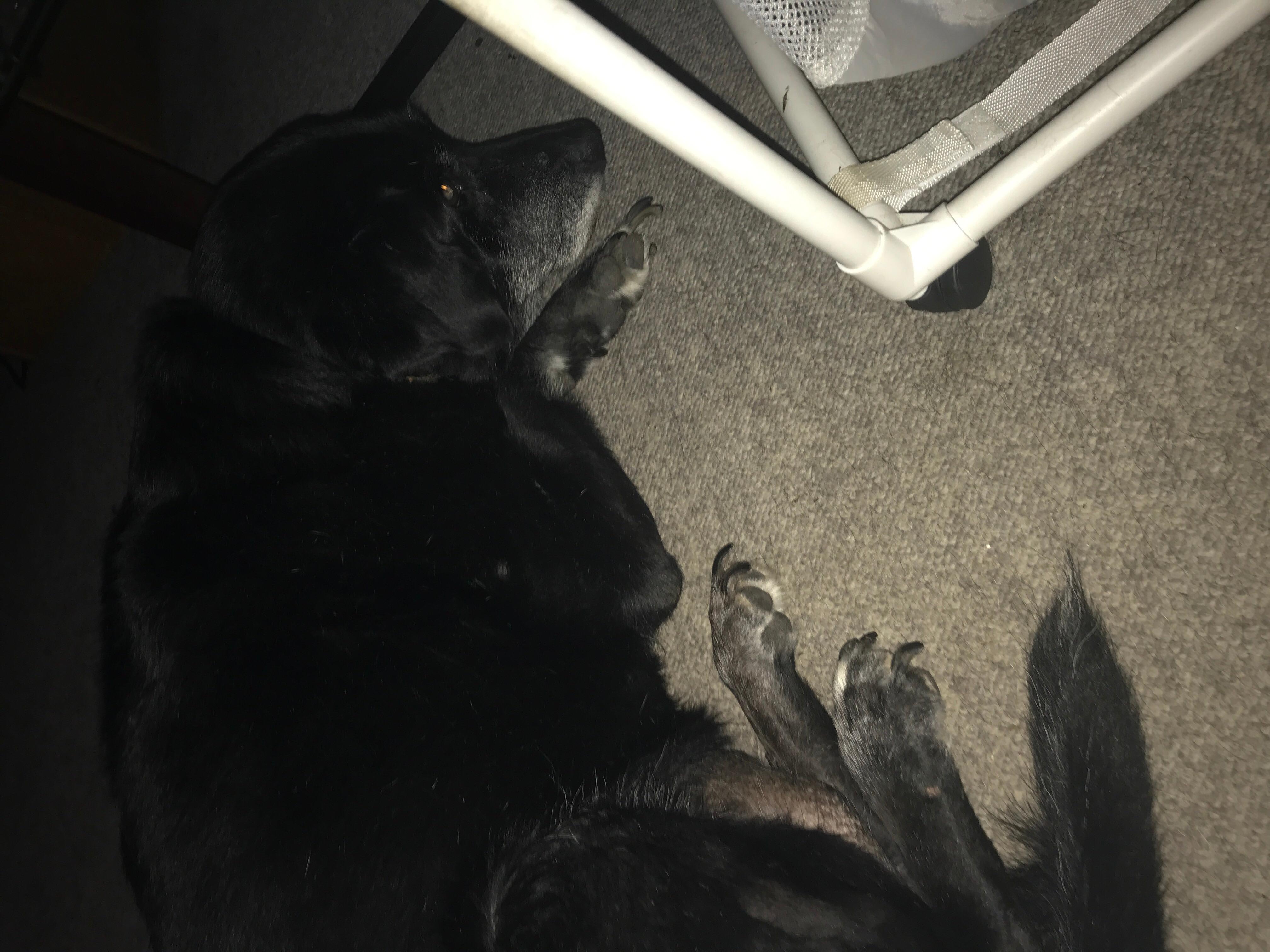 Question details sensitive content