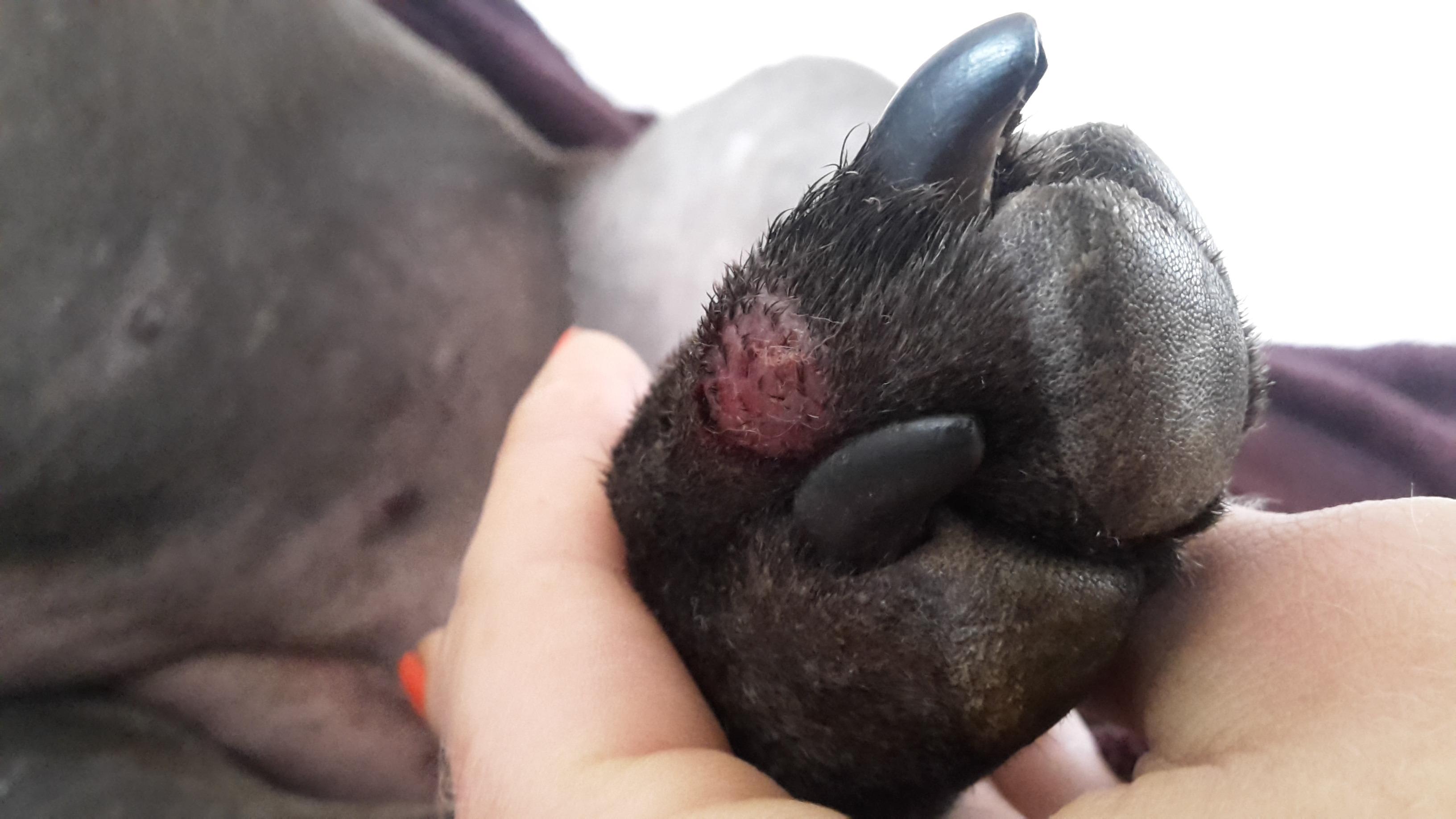 Question details sensitive content