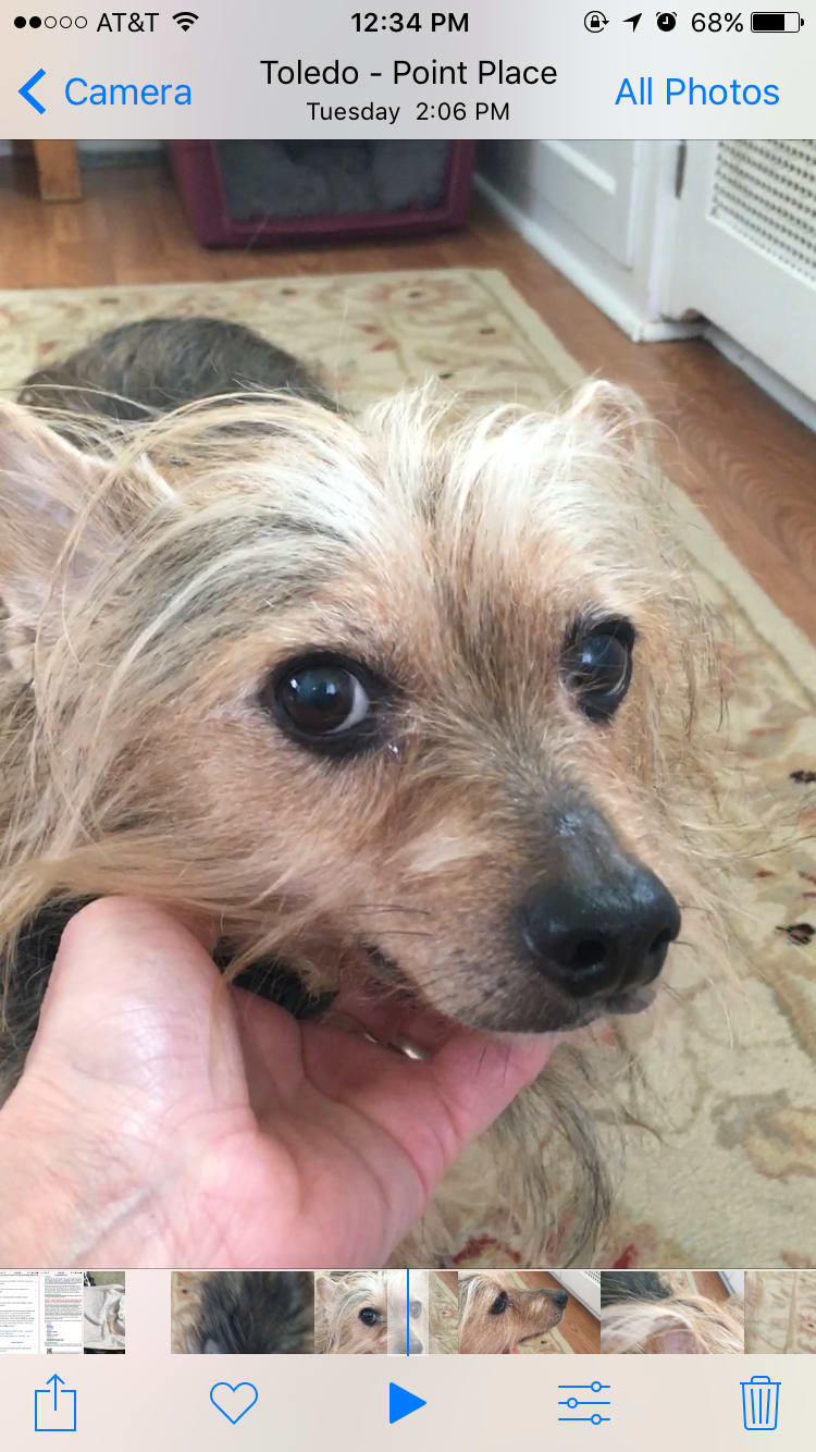 Question details sensitive content