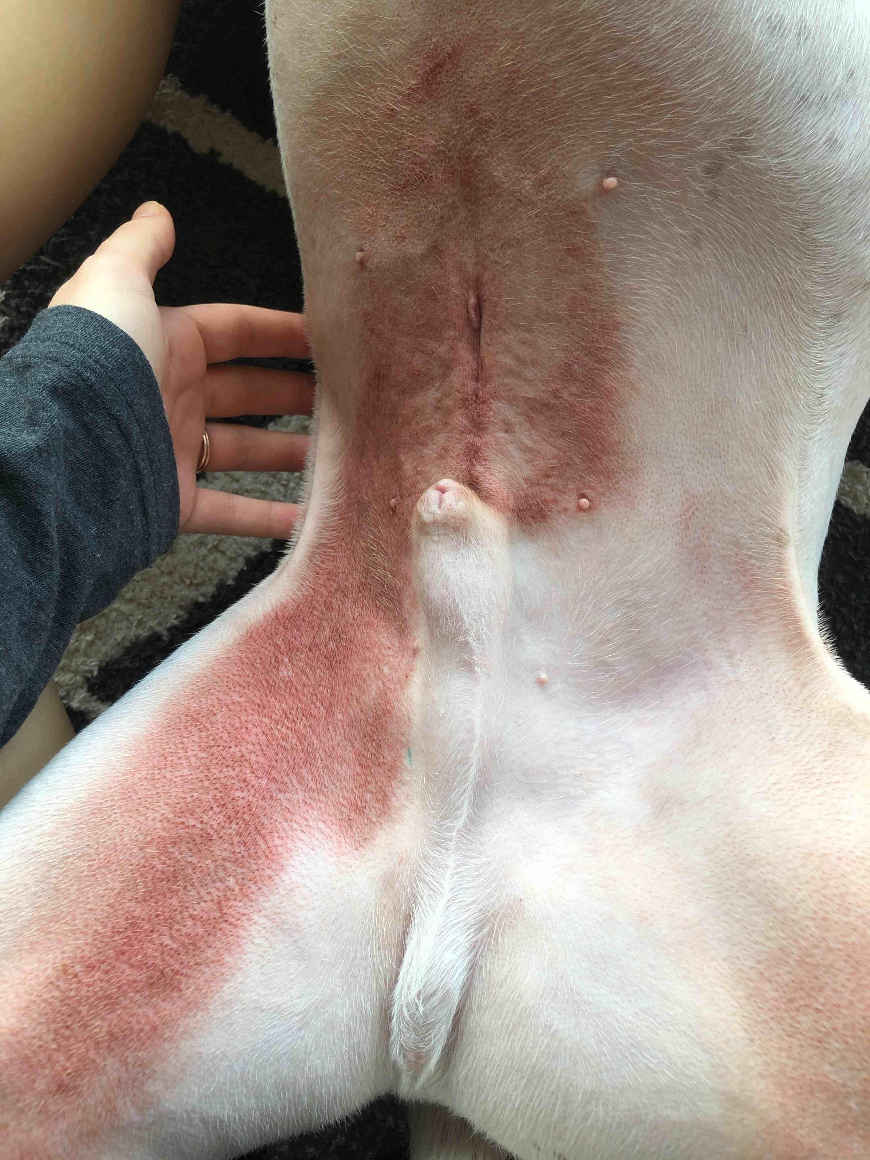 Question details sensitive content