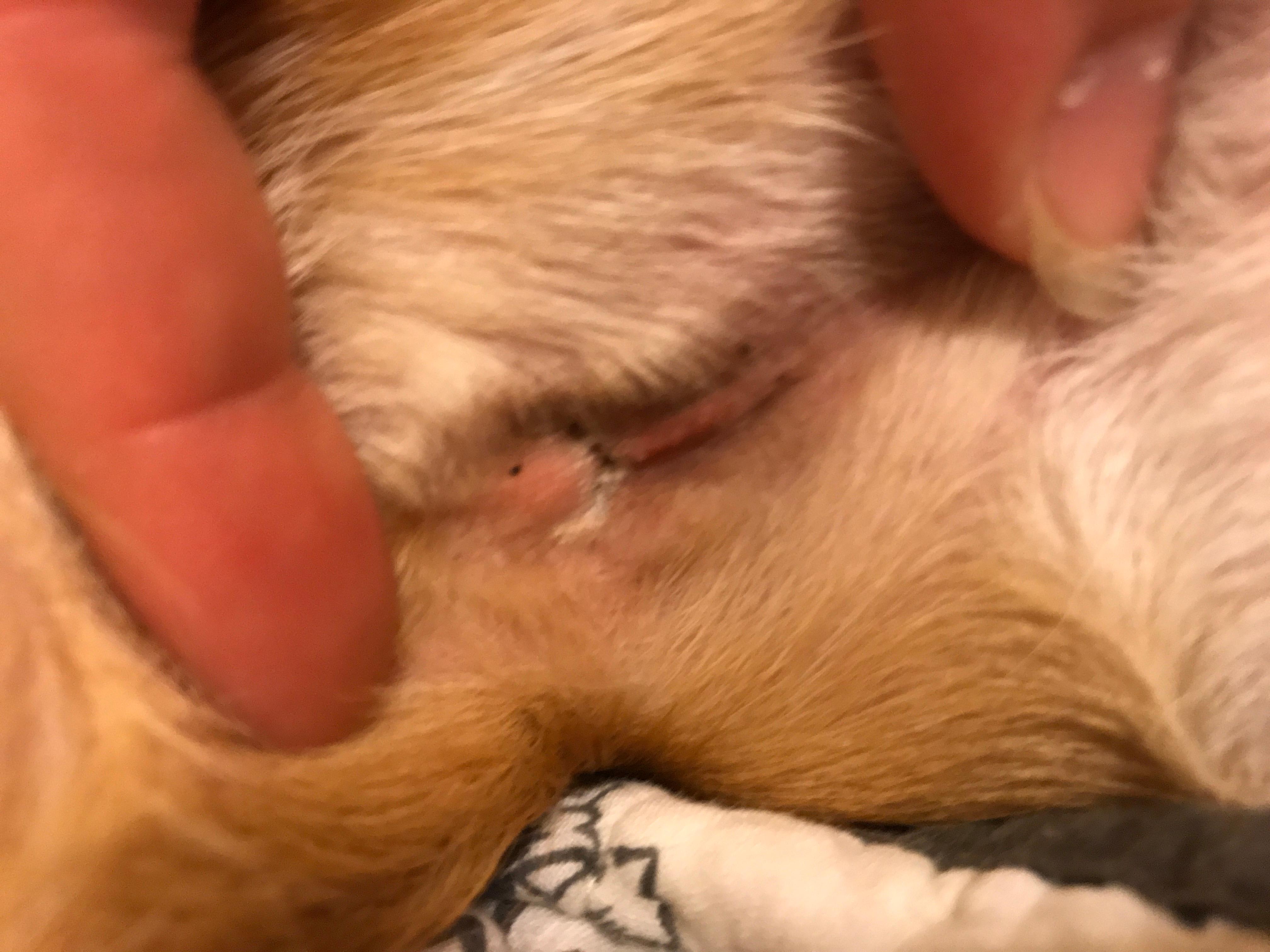 Question details sensitive content