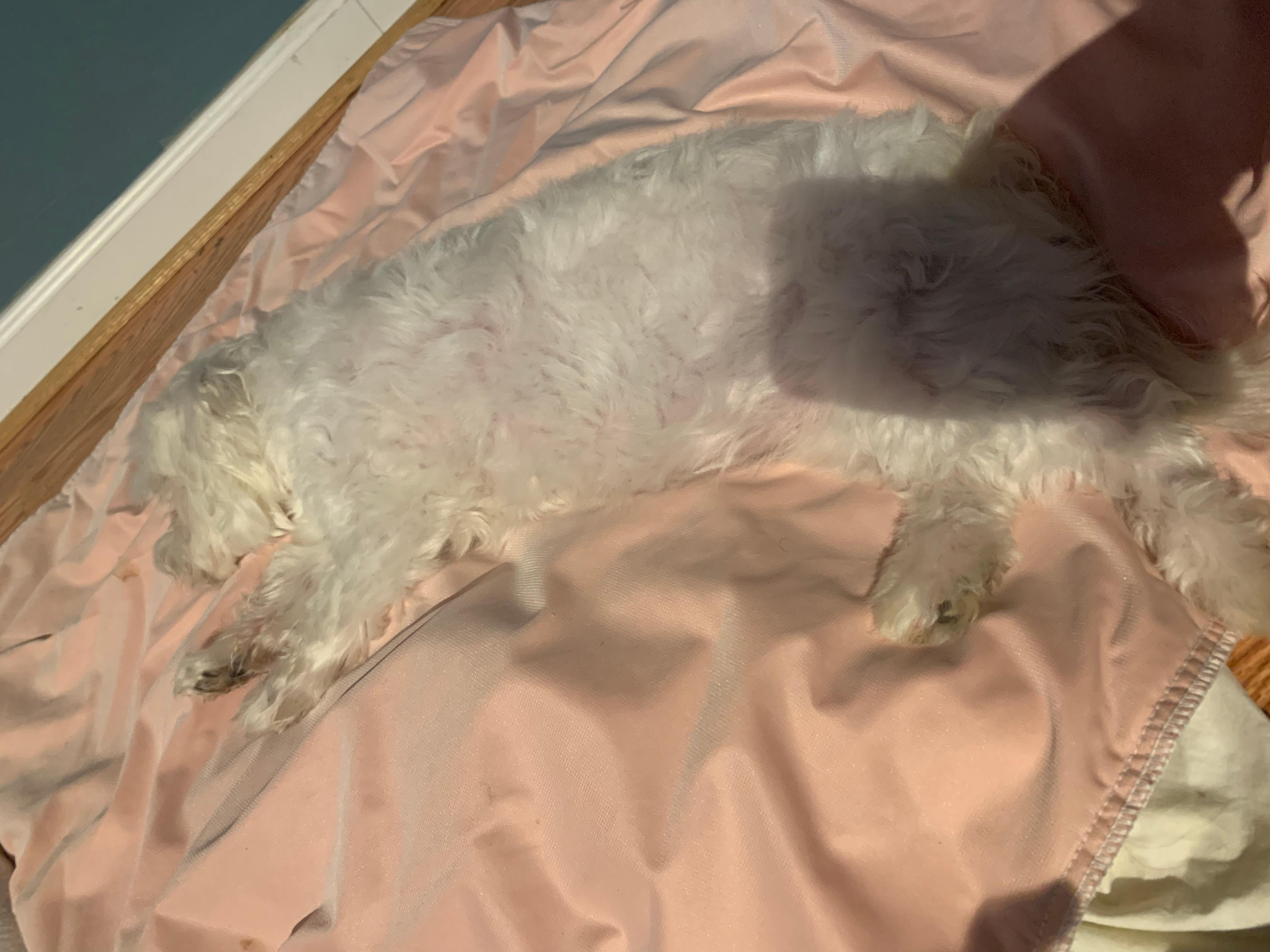 Question details sensitive content