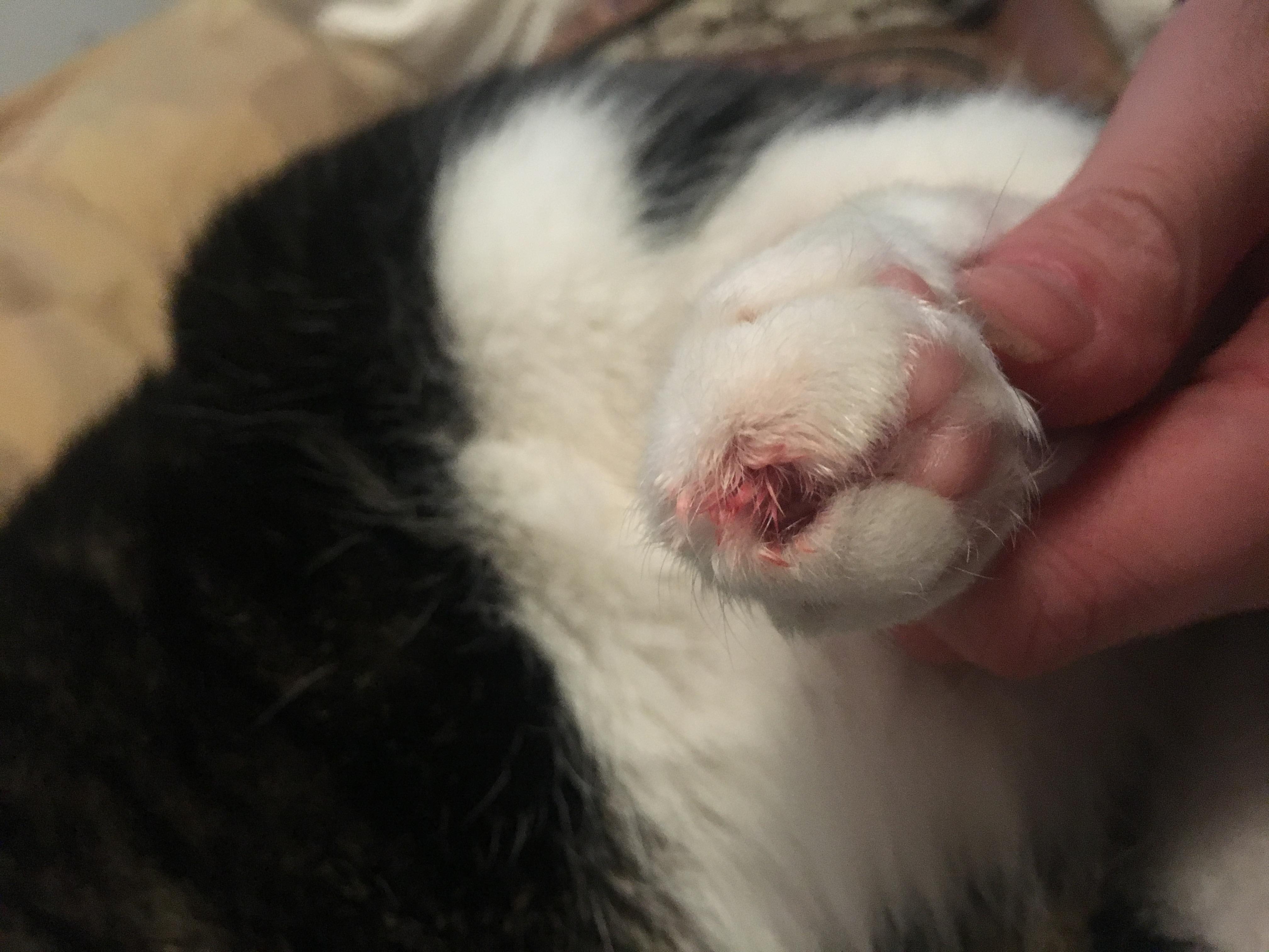 Question details sensitive content